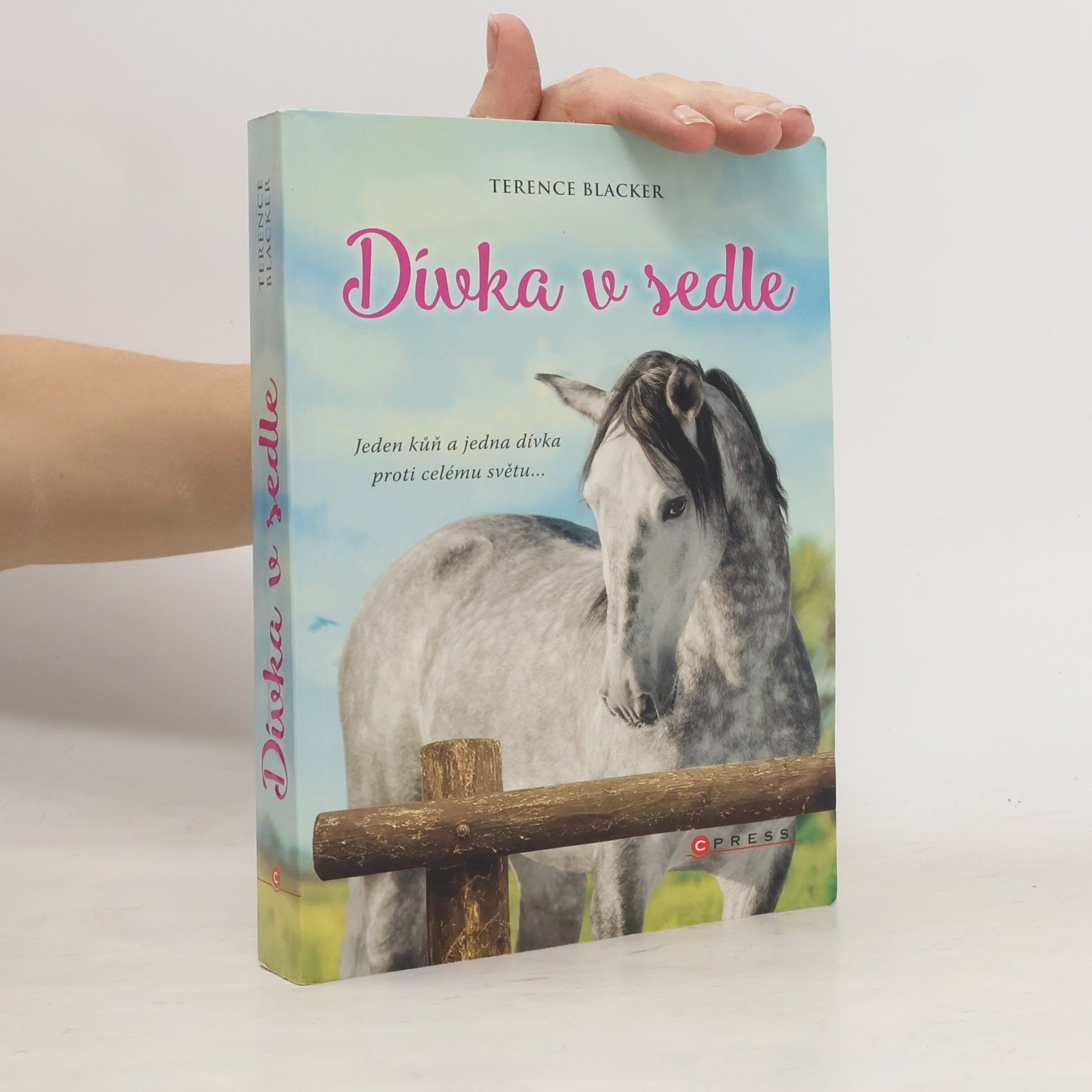 Terence Blacker Dívka v sedle