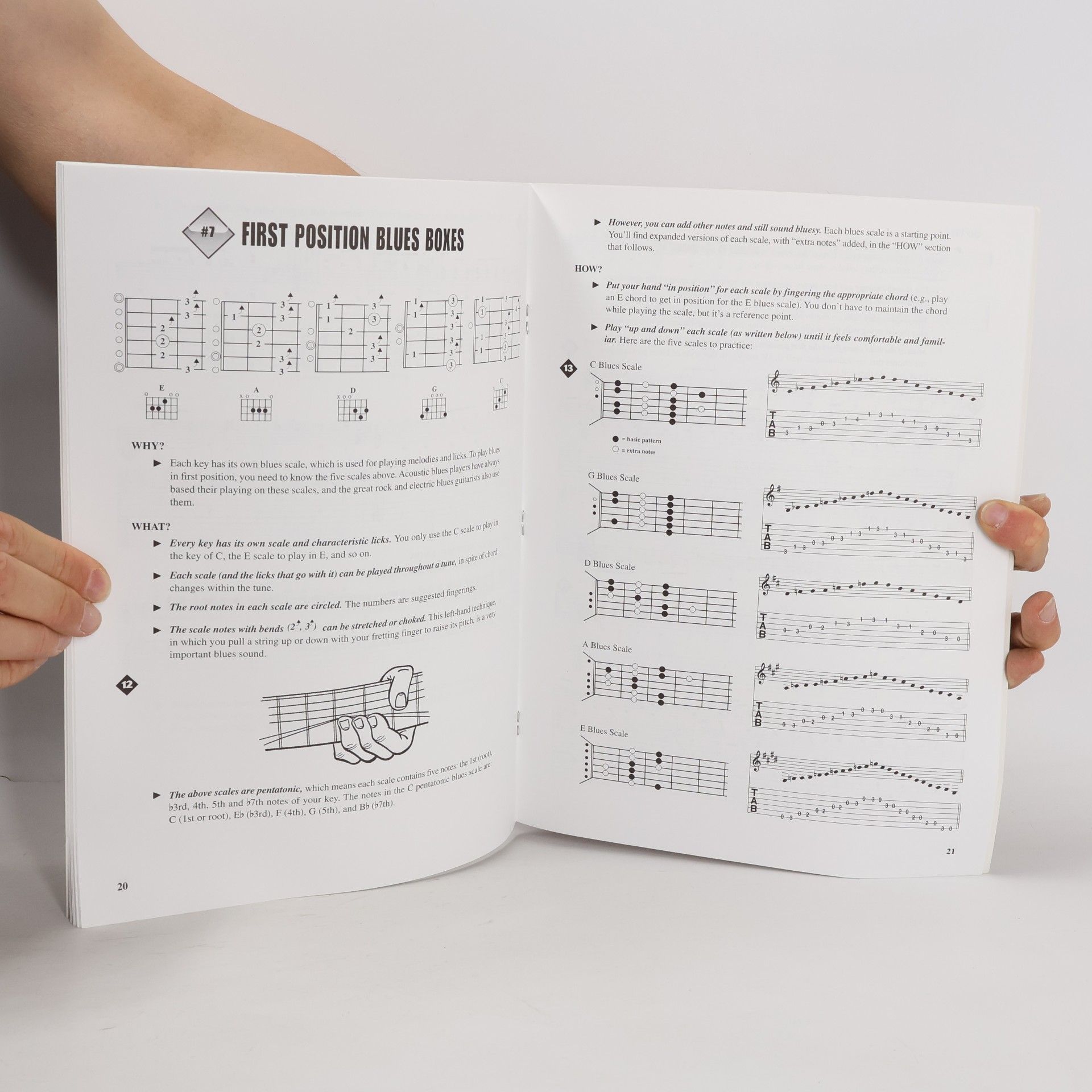 Fred Sokolow Fretboard Roadmaps - Blues Guitar