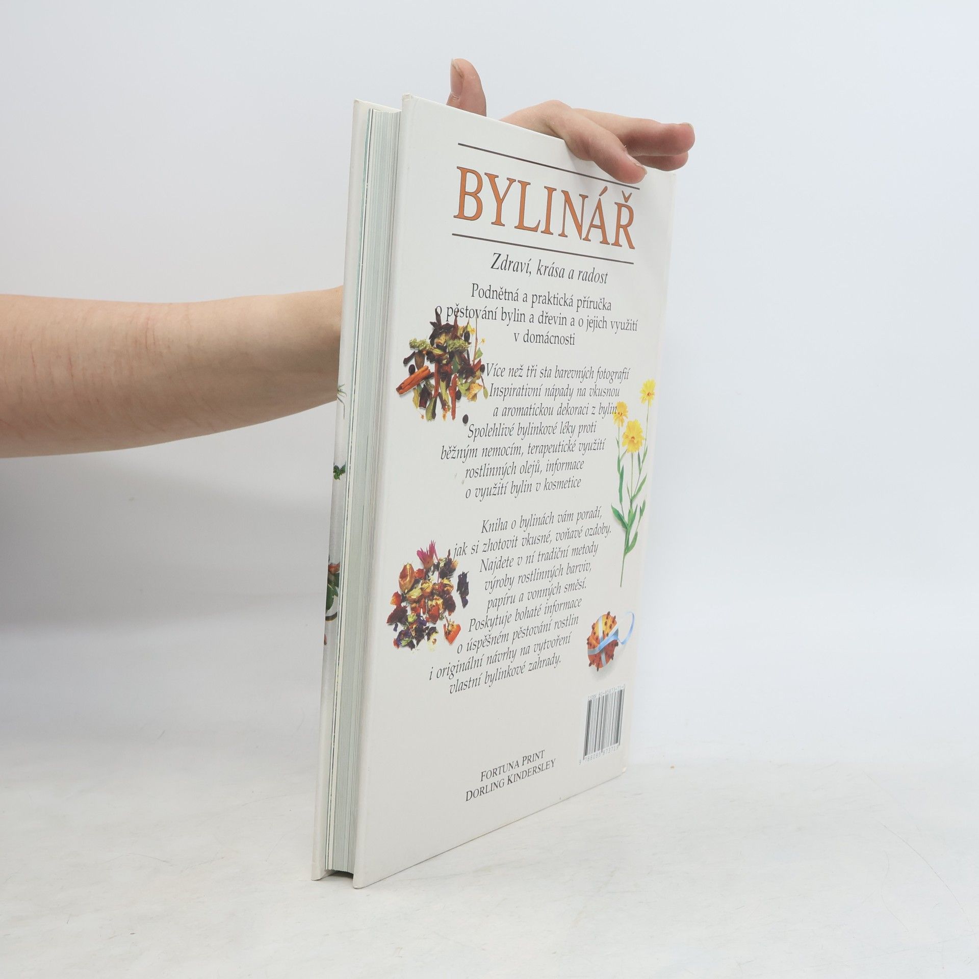 Lesley Bremness Bylinář: zdraví, krása a radost