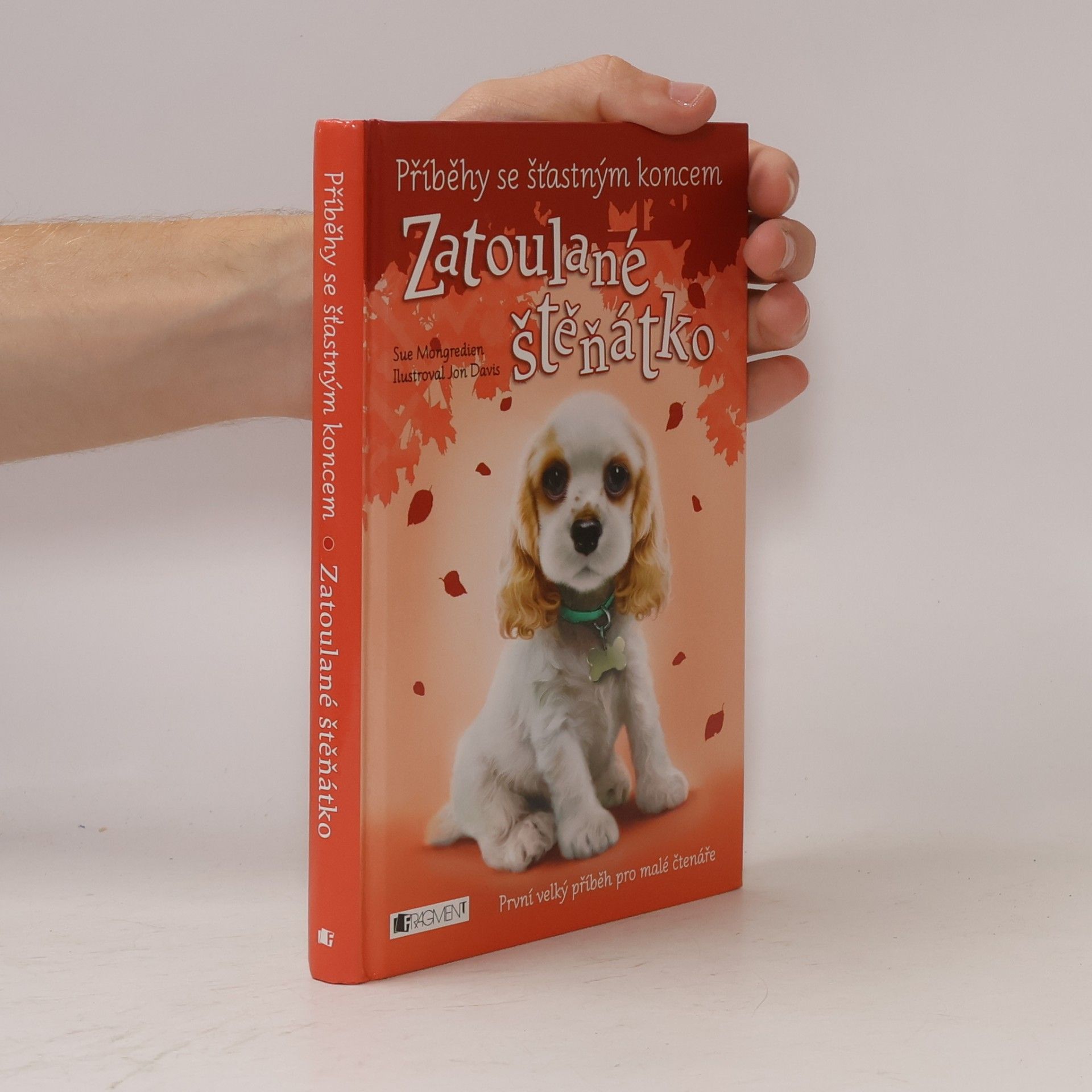 Sue Mongredien Zatoulané štěňátko