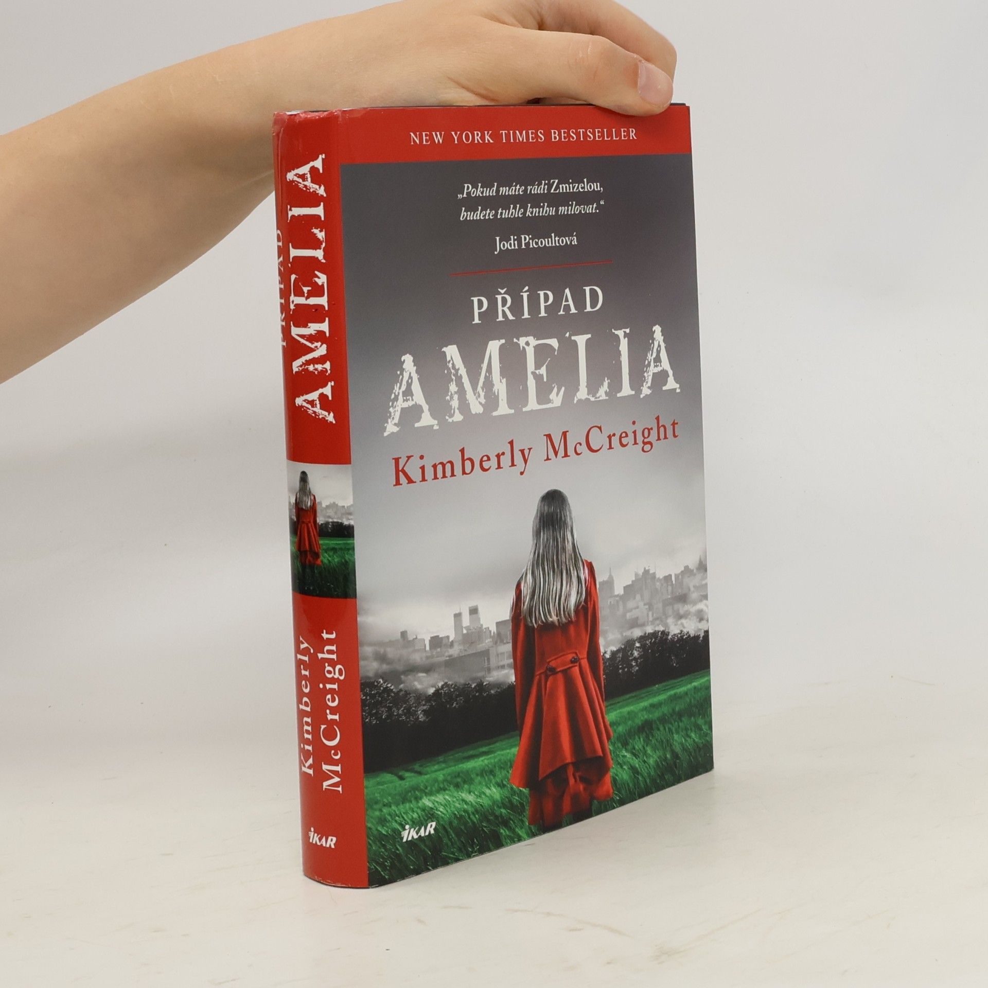 Kimberly McCreight Případ Amelia