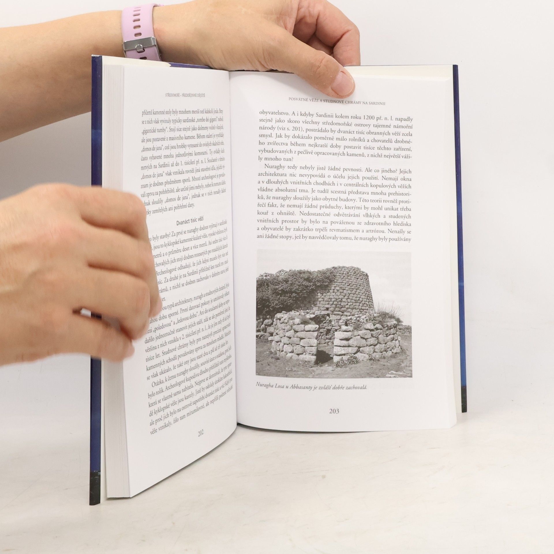 Felix R. Mindt Velké záhady pravěku