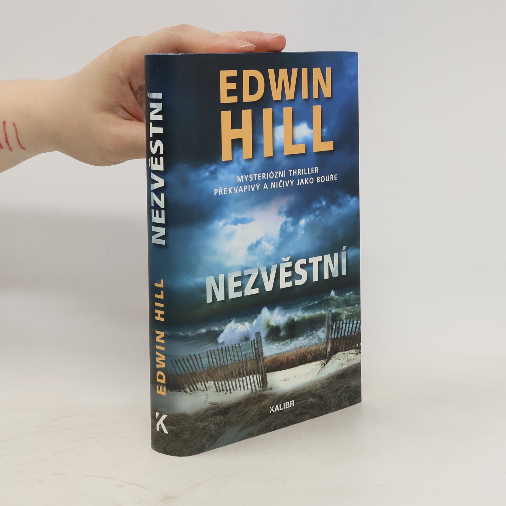Edwin Hill Nezvěstní