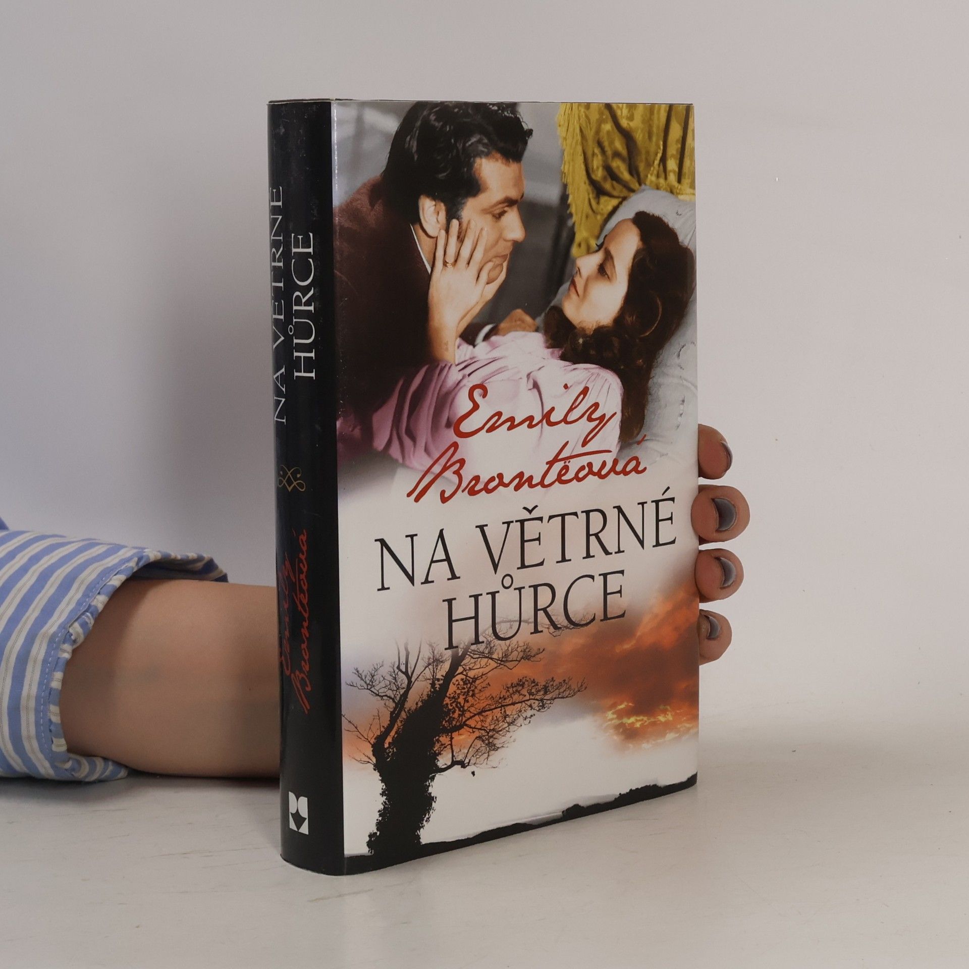 Emily Brontë Na Větrné hůrce
