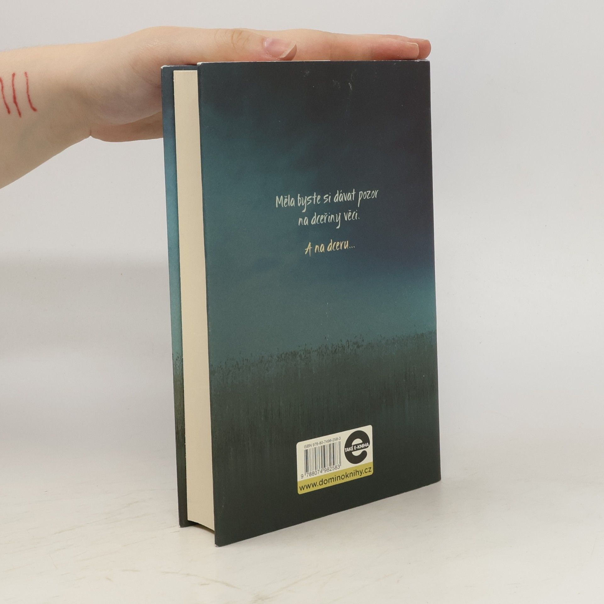 C.L. Taylor Útěk : psychothriller