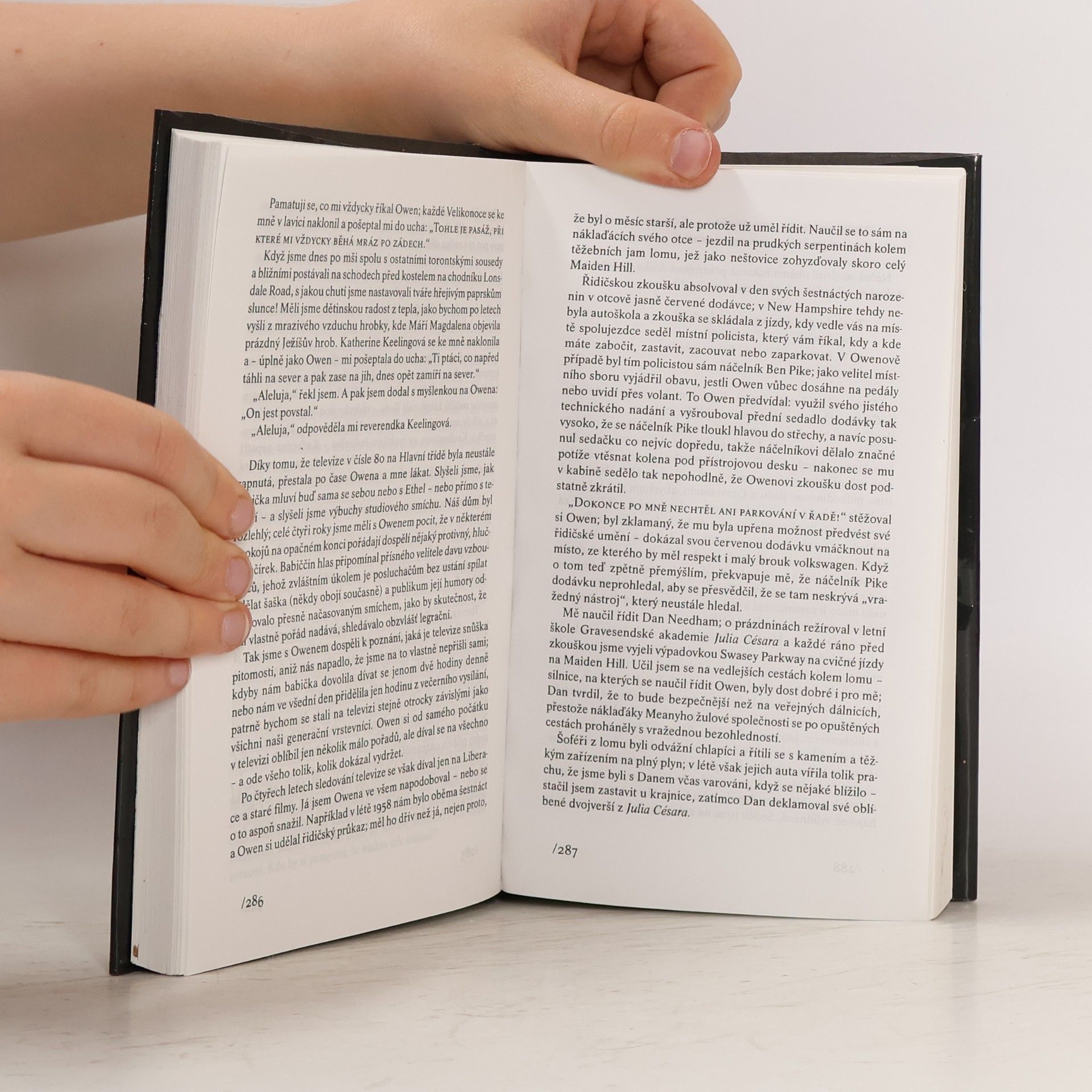 John Irving Modlitba za Owena Meanyho