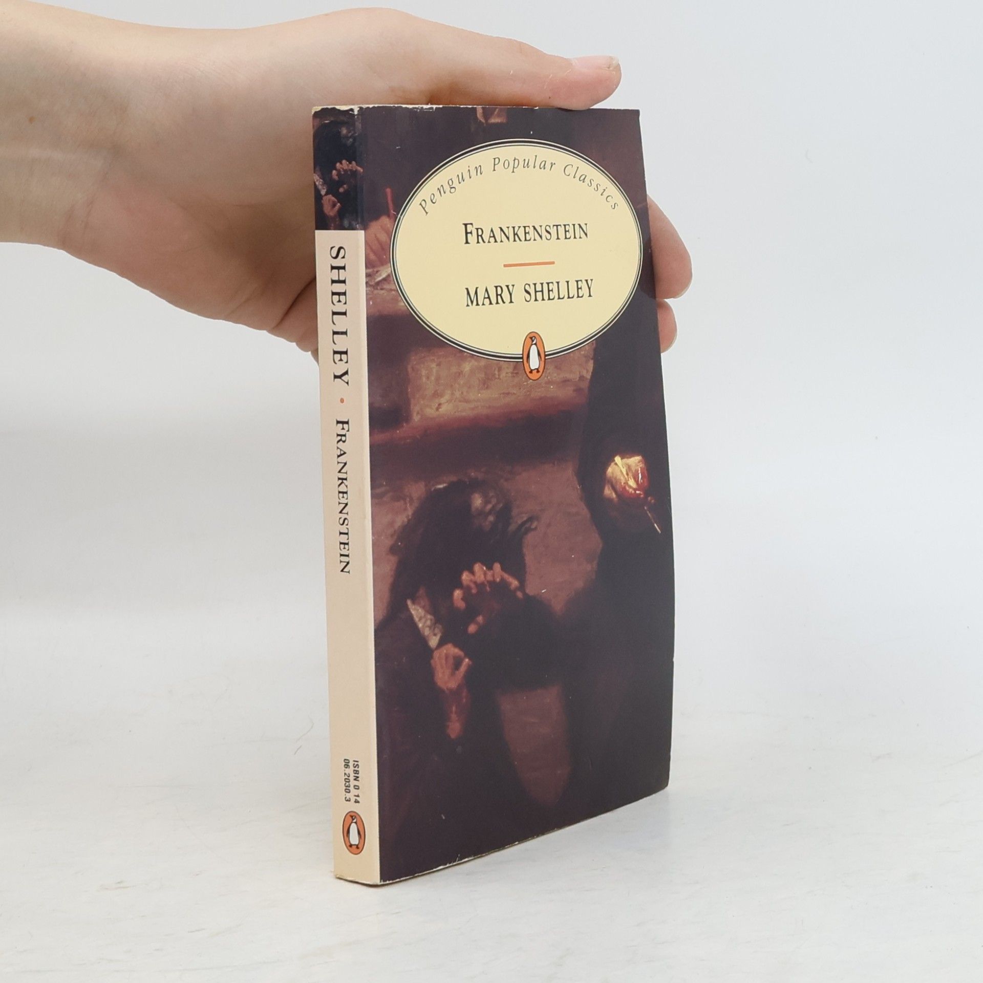 Mary Shelley Frankenstein