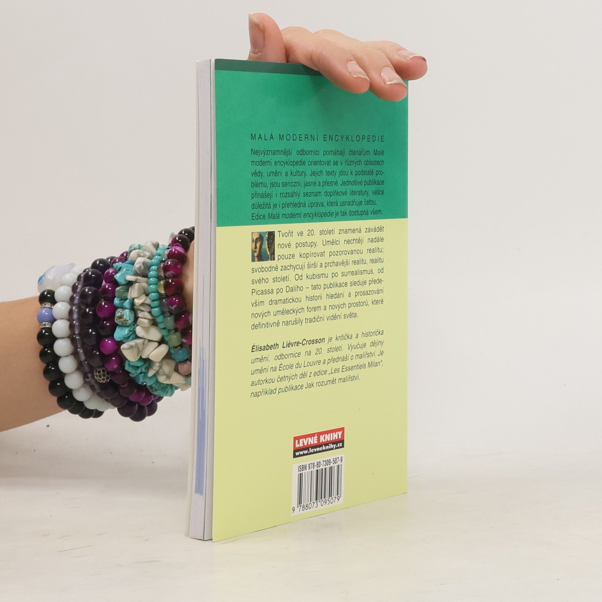 Elisabeth Lievre Crosson Od kubismu k surrealismu