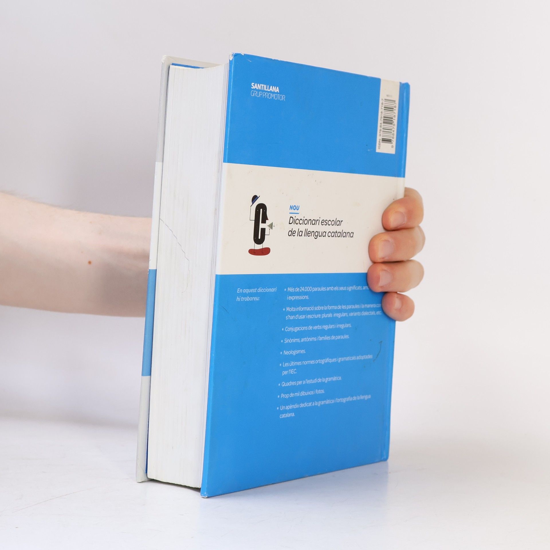 Autorenkollektiv Diccionari escolar de la llengua catalana