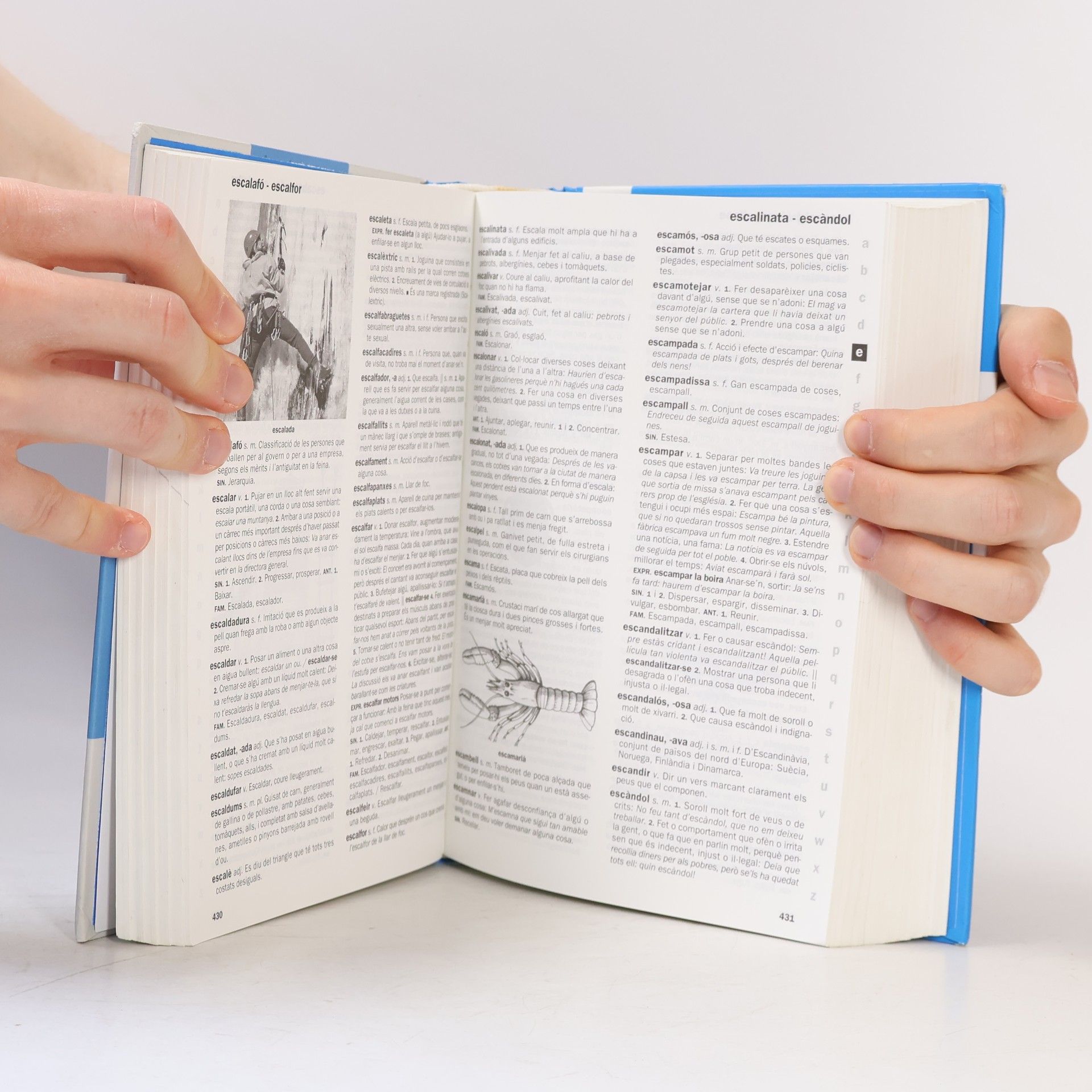 Autorenkollektiv Diccionari escolar de la llengua catalana