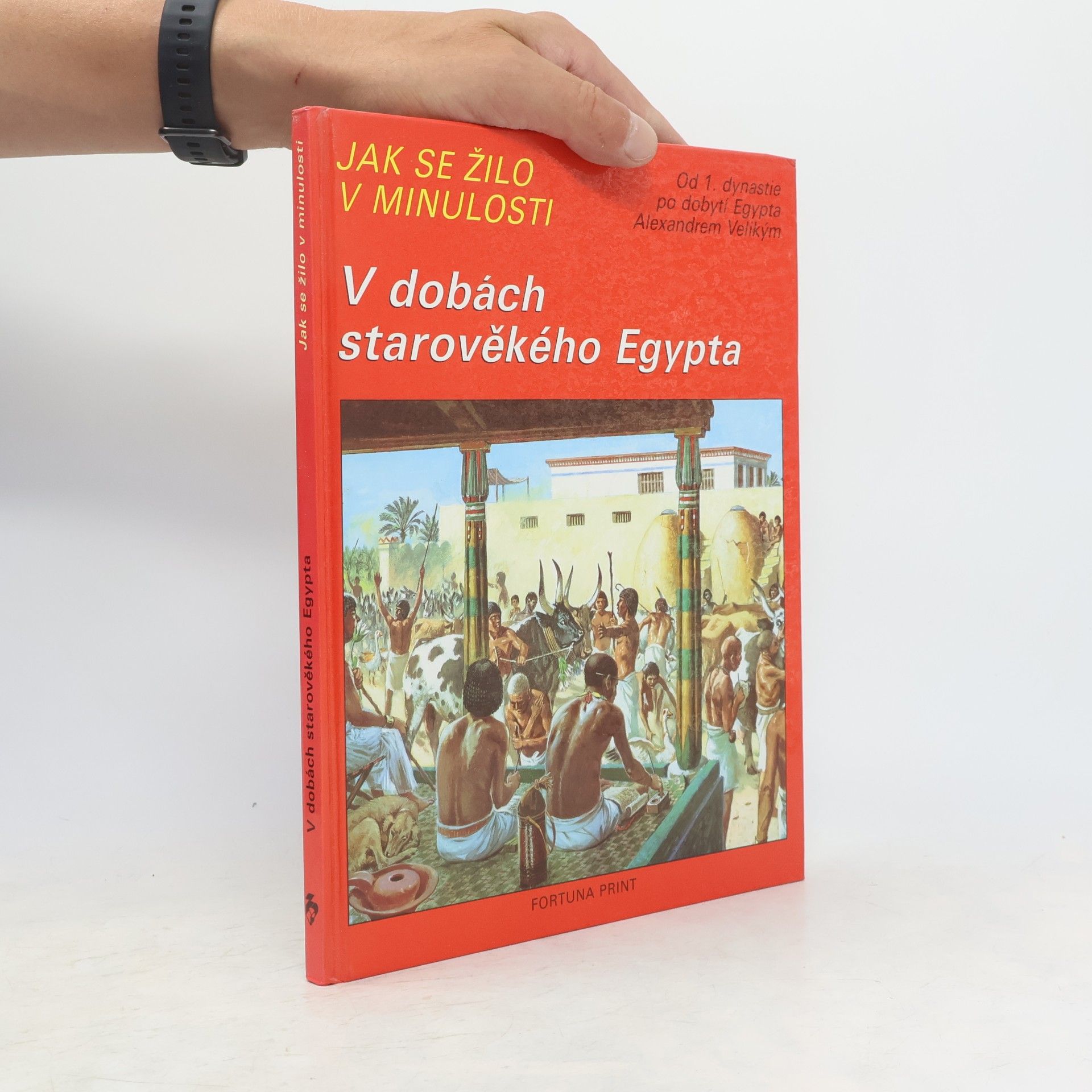 Pierre Miquel Jak se žilo v minulosti. V dobách starověkého Egypta