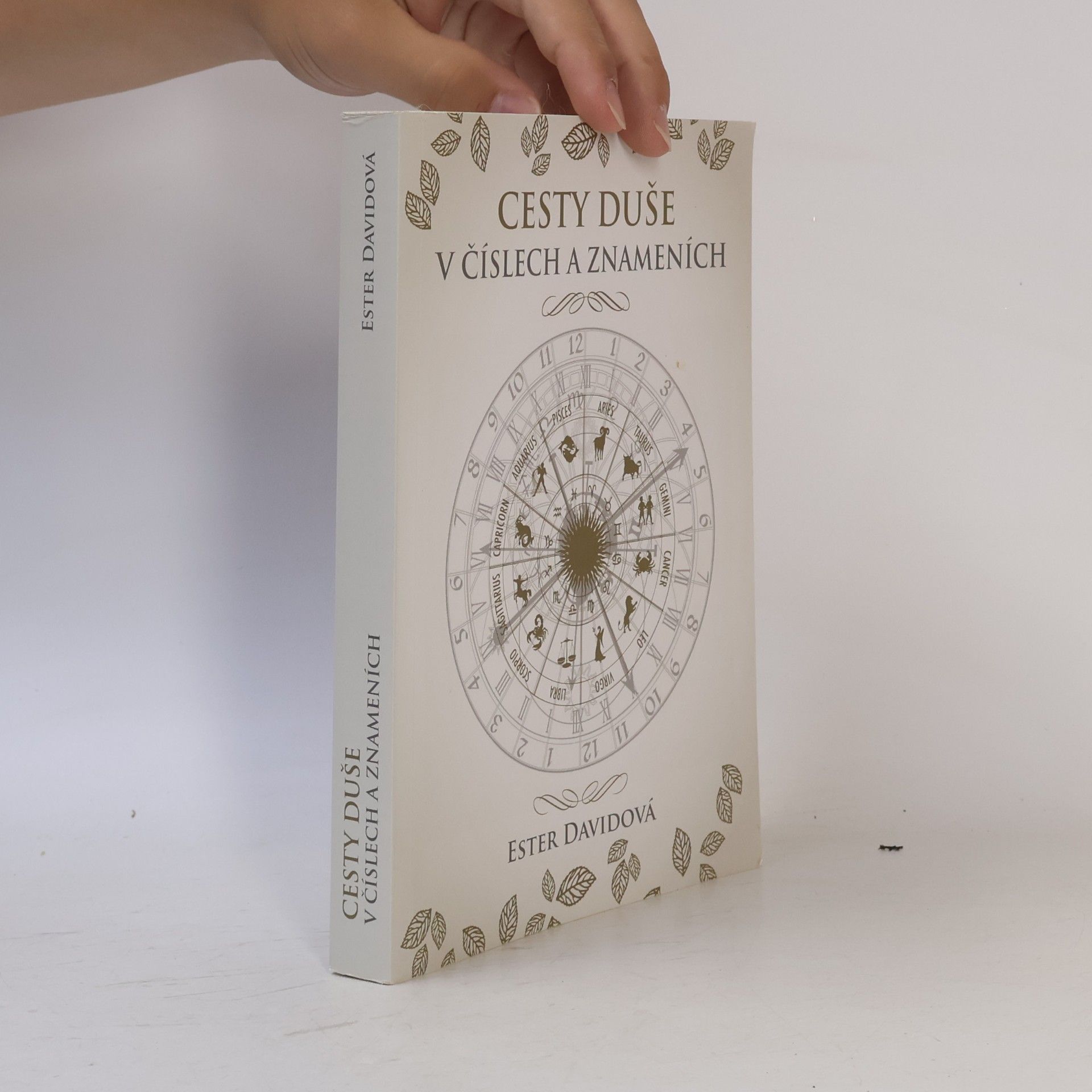 Ester Davidová Cesty duše v číslech a znameních