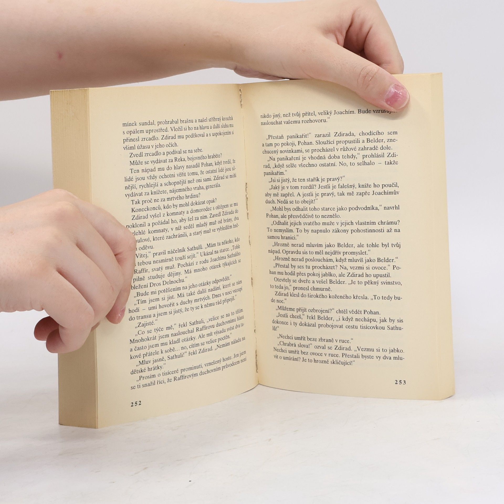 David Gemmell Král za branou