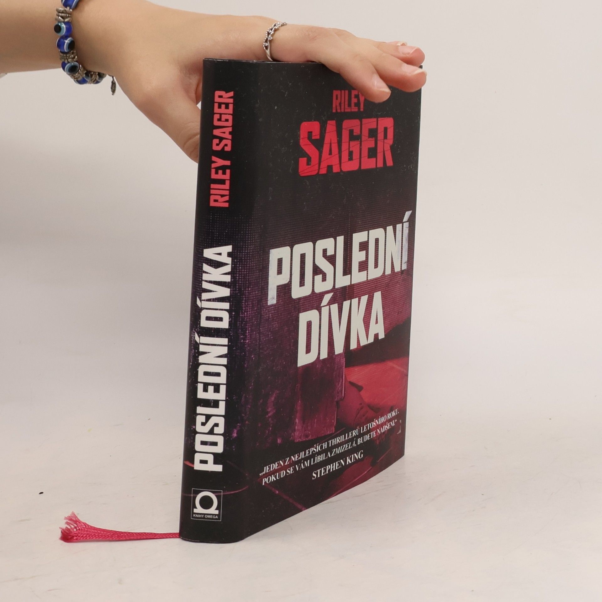 Todd Ritter Poslední dívka