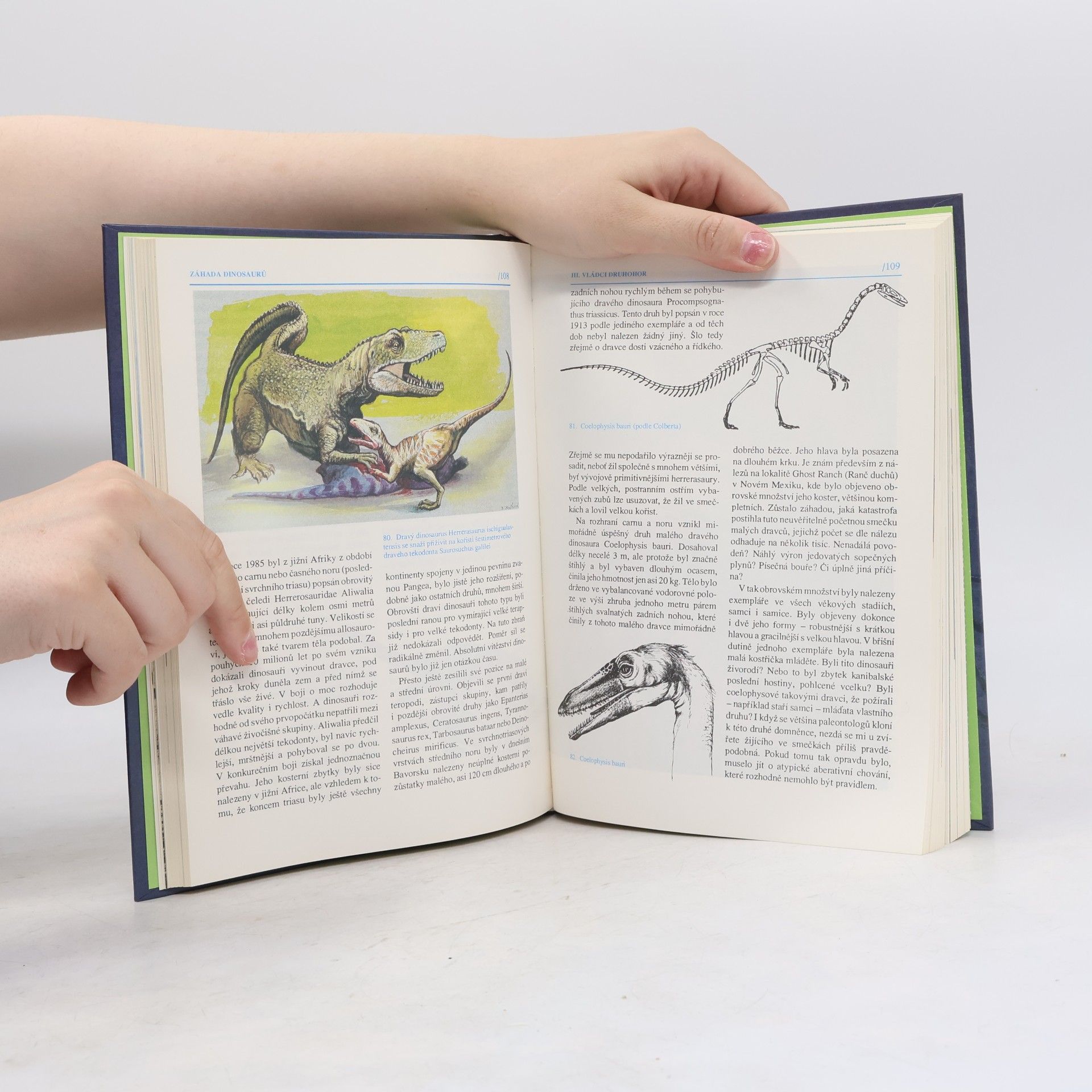 Jaroslav Mareš Záhada dinosaurů