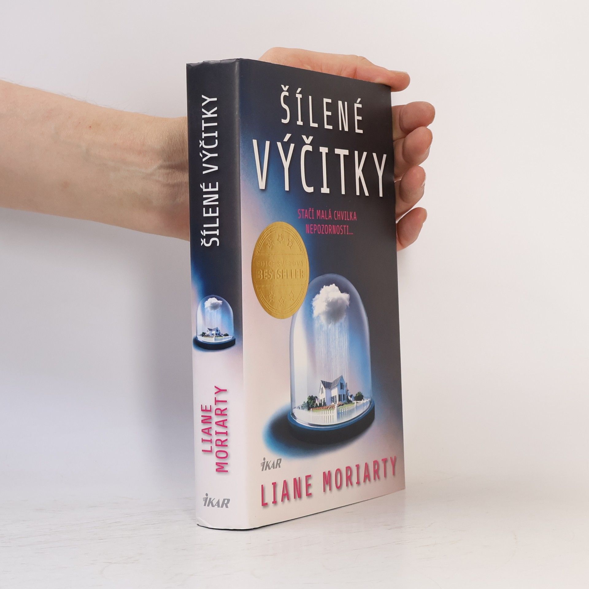 Liane Moriarty Šílené výčitky