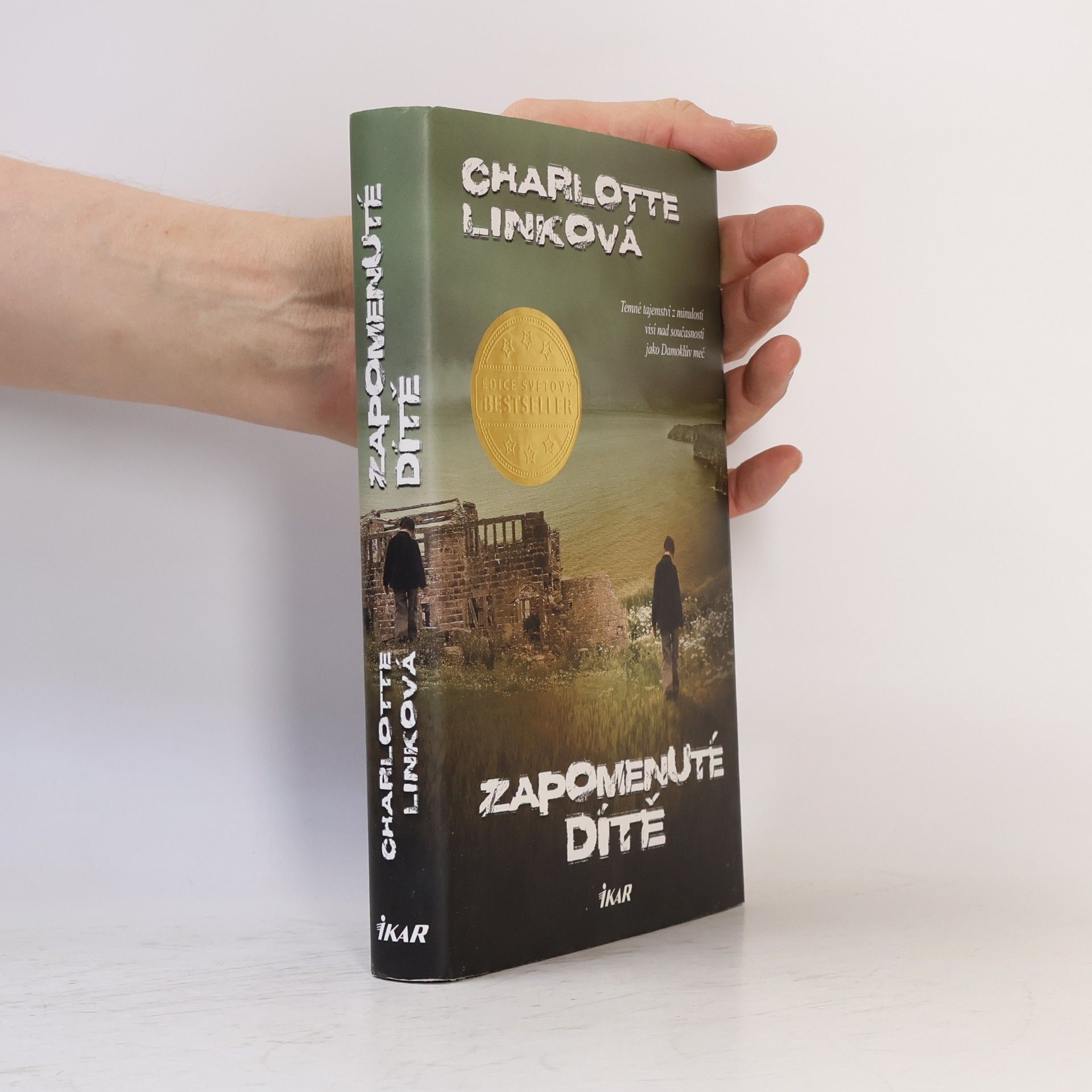 Charlotte Link Zapomenuté dítě