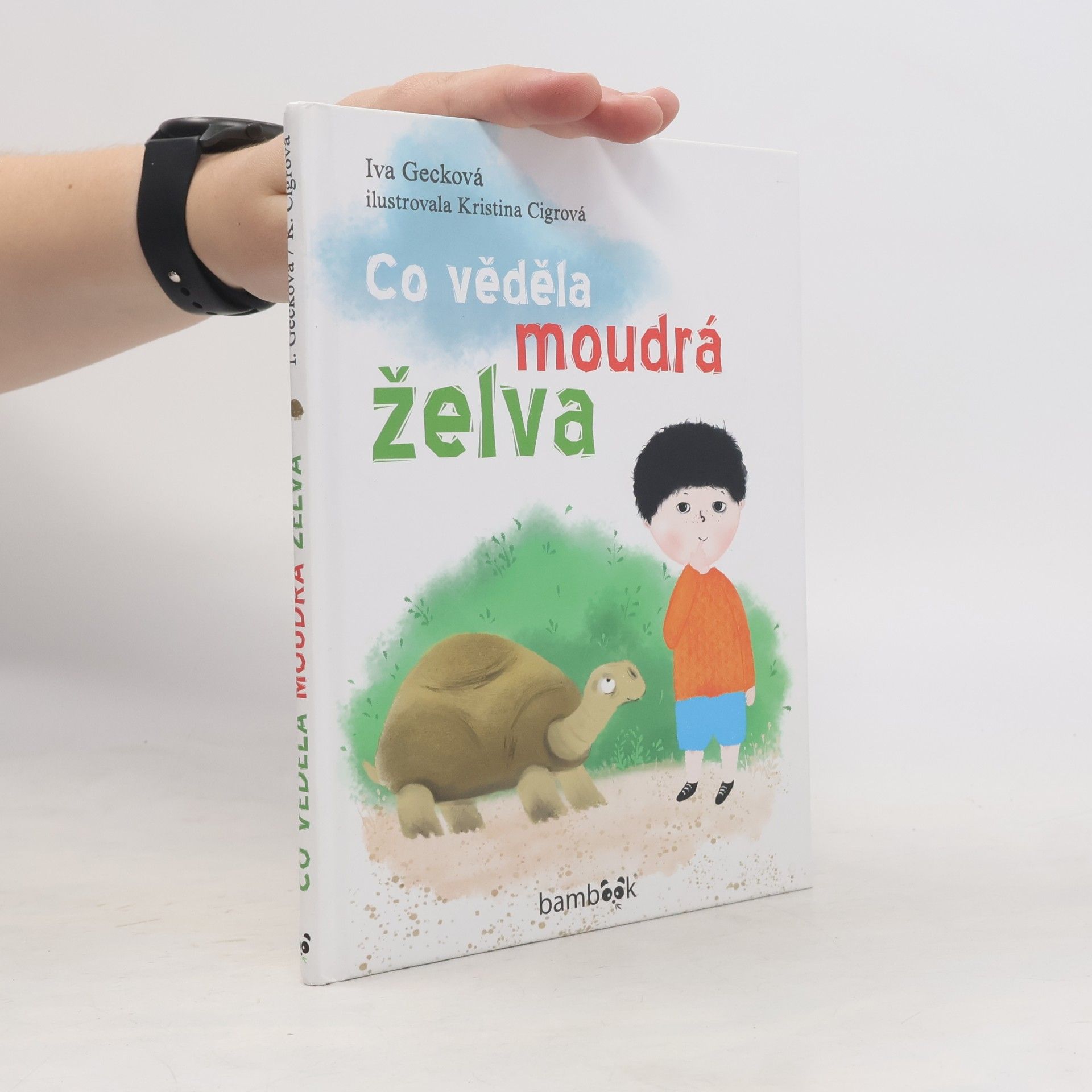 Iva Gecková Co věděla moudrá želva