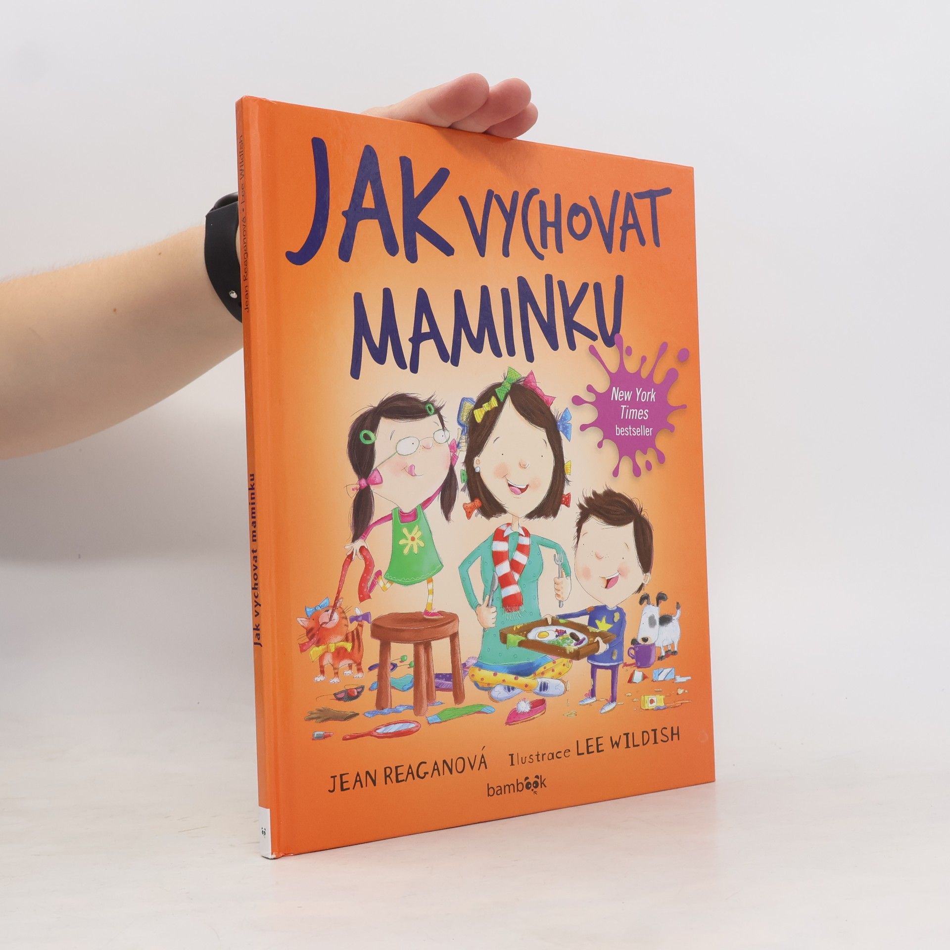 Jean Reagan Jak vychovat maminku