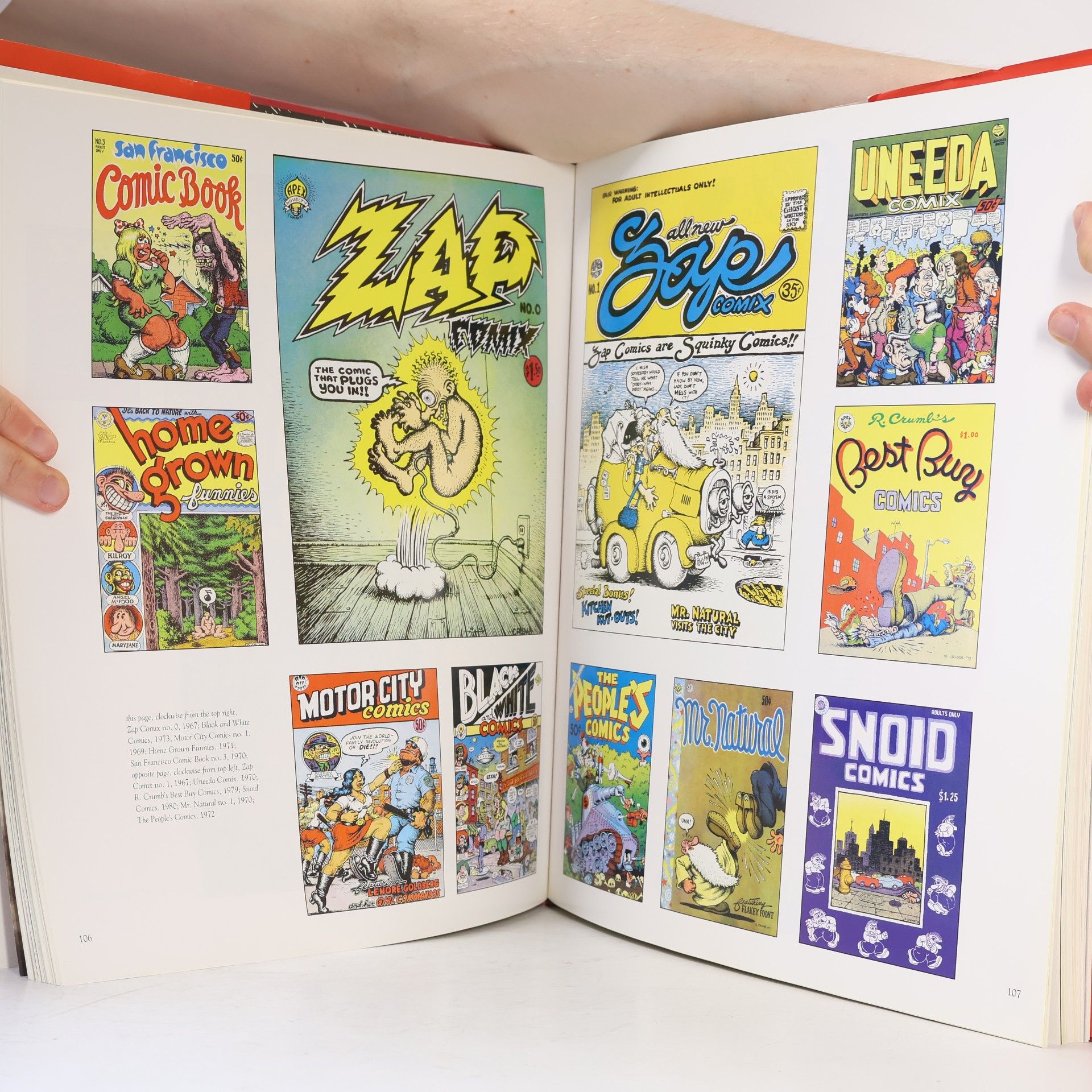Robert R Crumb The R. Crumb Coffee Table Art Book