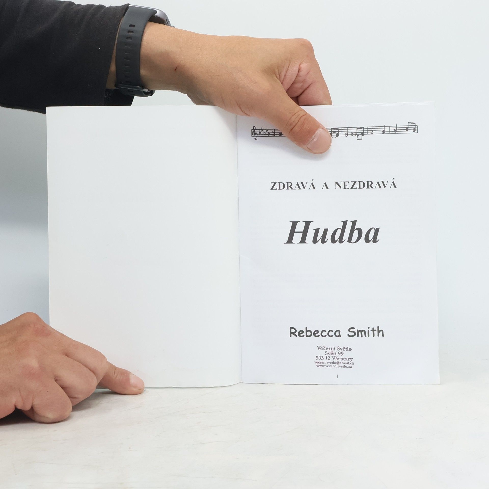 Rebekah L. Smith Zdravá a nezdravá hudba