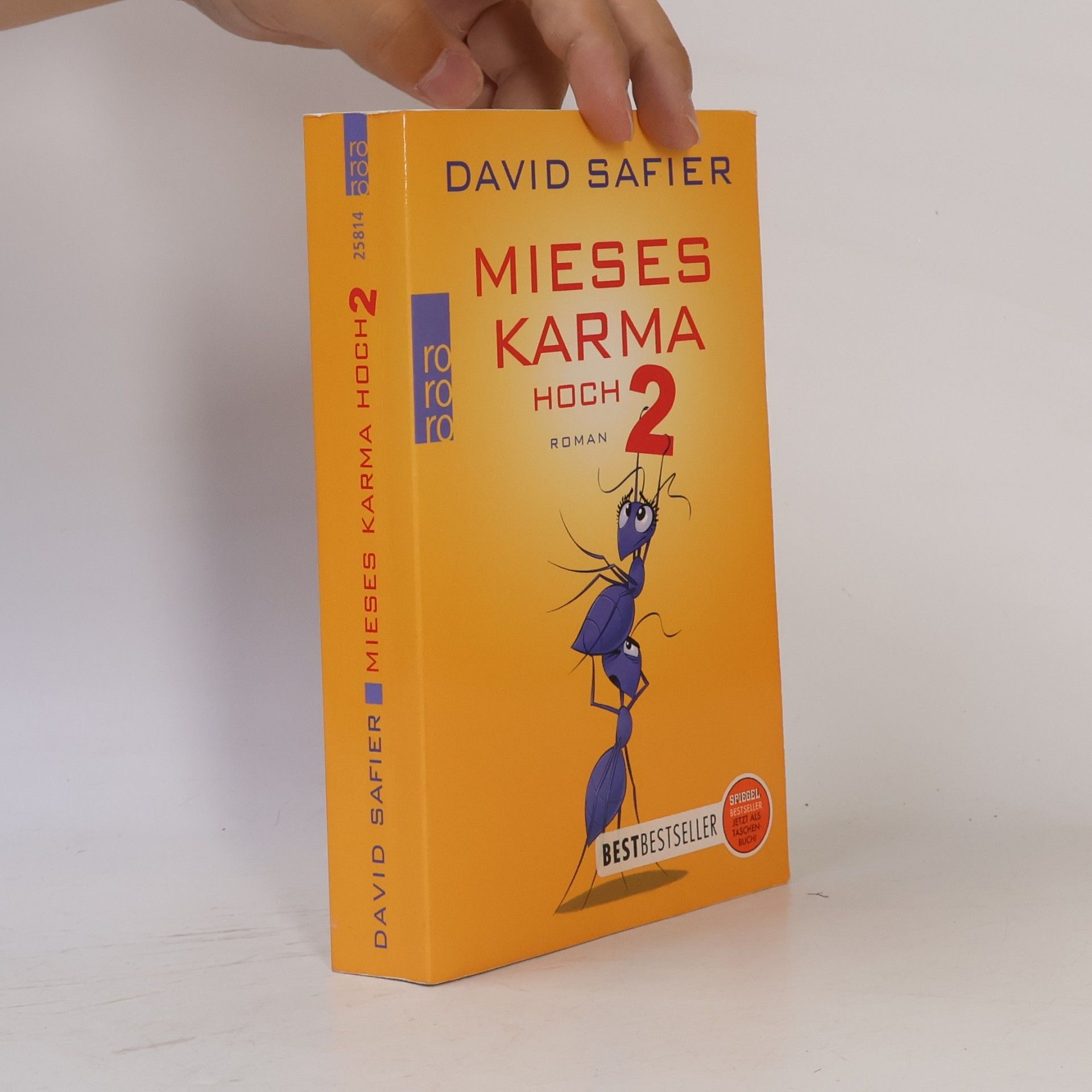 David Safier Mieses Karma hoch 2