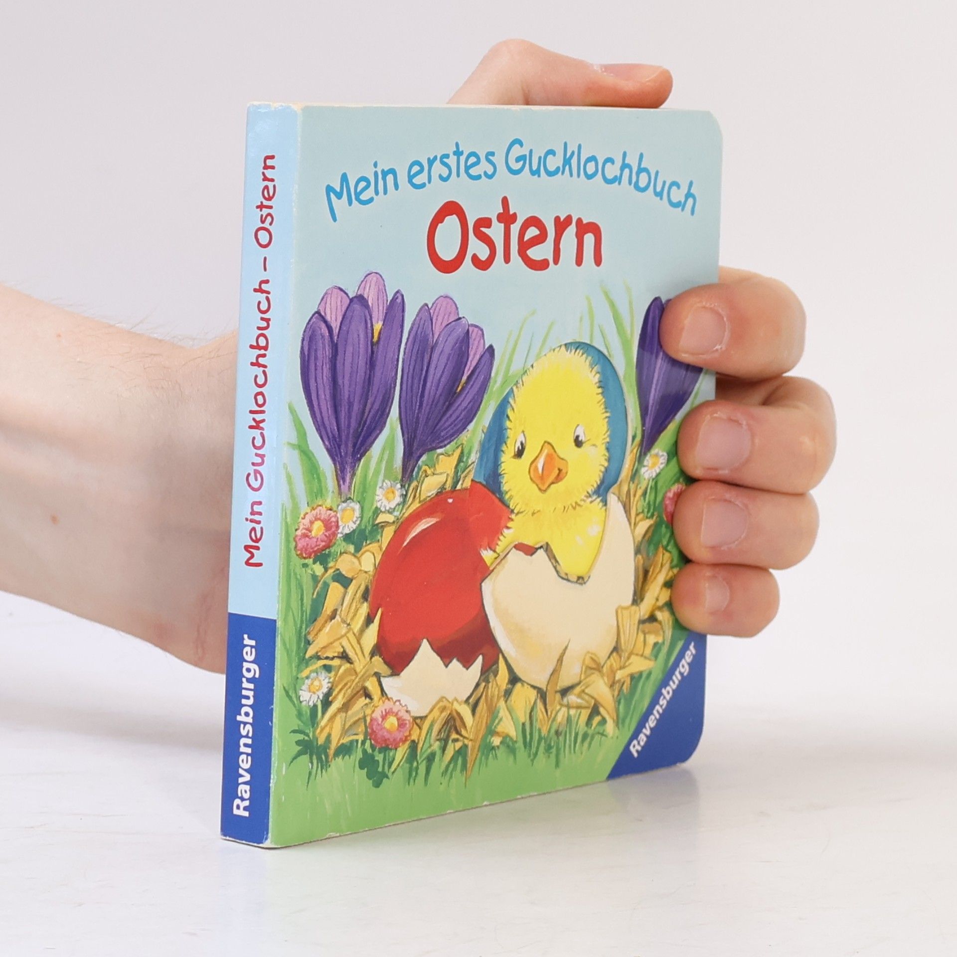 Antje Flad Mein erstes Gucklochbuch - Ostern