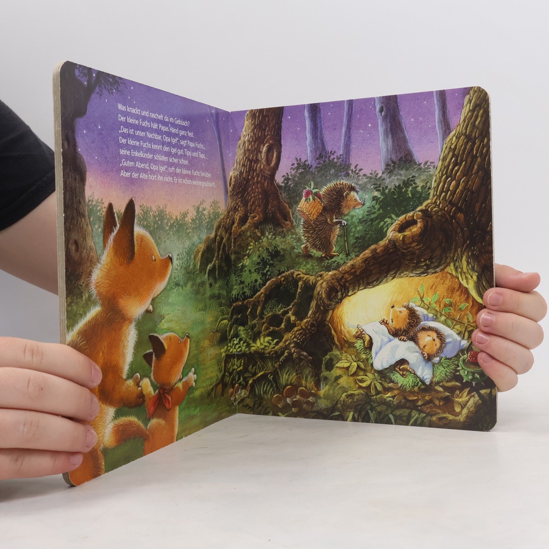 Gerlinde Wiencirz Schlaf gut, kleiner Fuchs