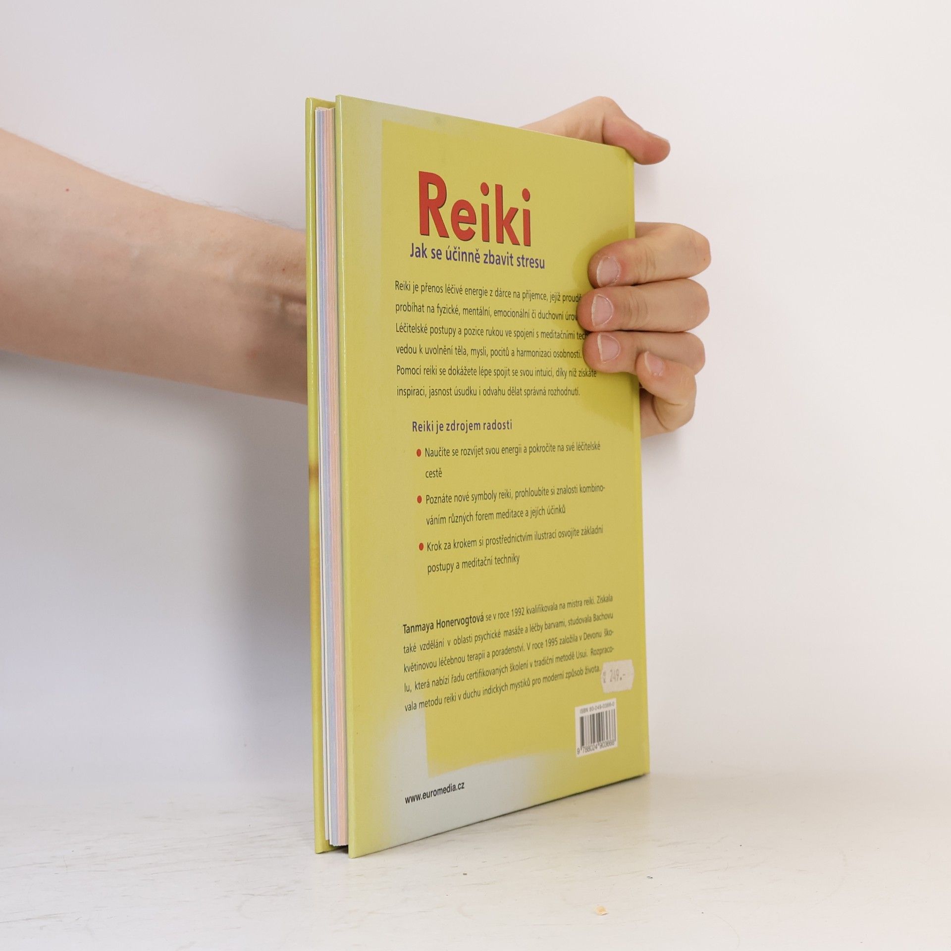 Tanmaya Honervogt Reiki. Průvodce léčbou a meditací