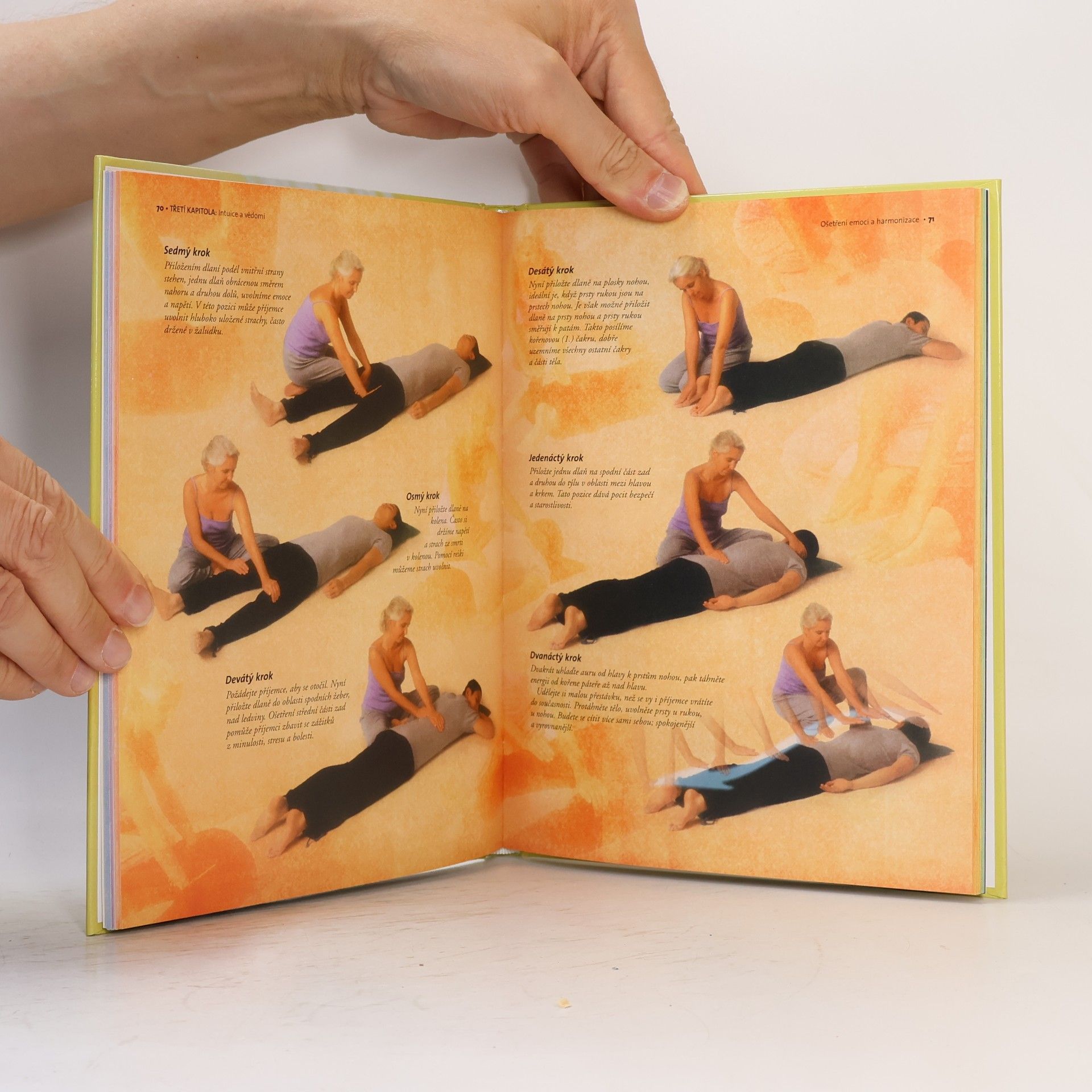 Tanmaya Honervogt Reiki. Průvodce léčbou a meditací