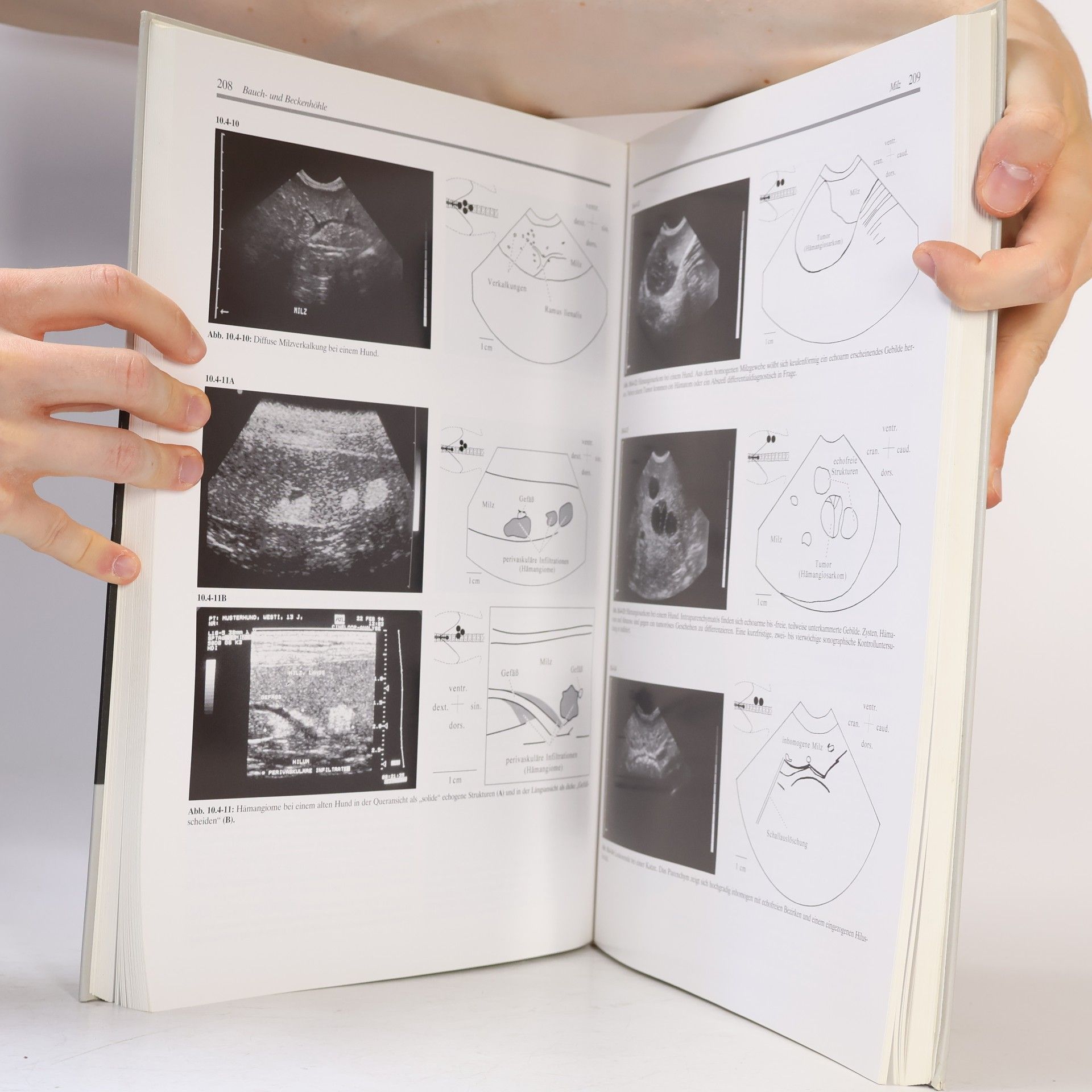 Cordula Poulsen Nautrup Atlas und Lehrbuch der Ultraschalldiagnostik bei Hund und Katze