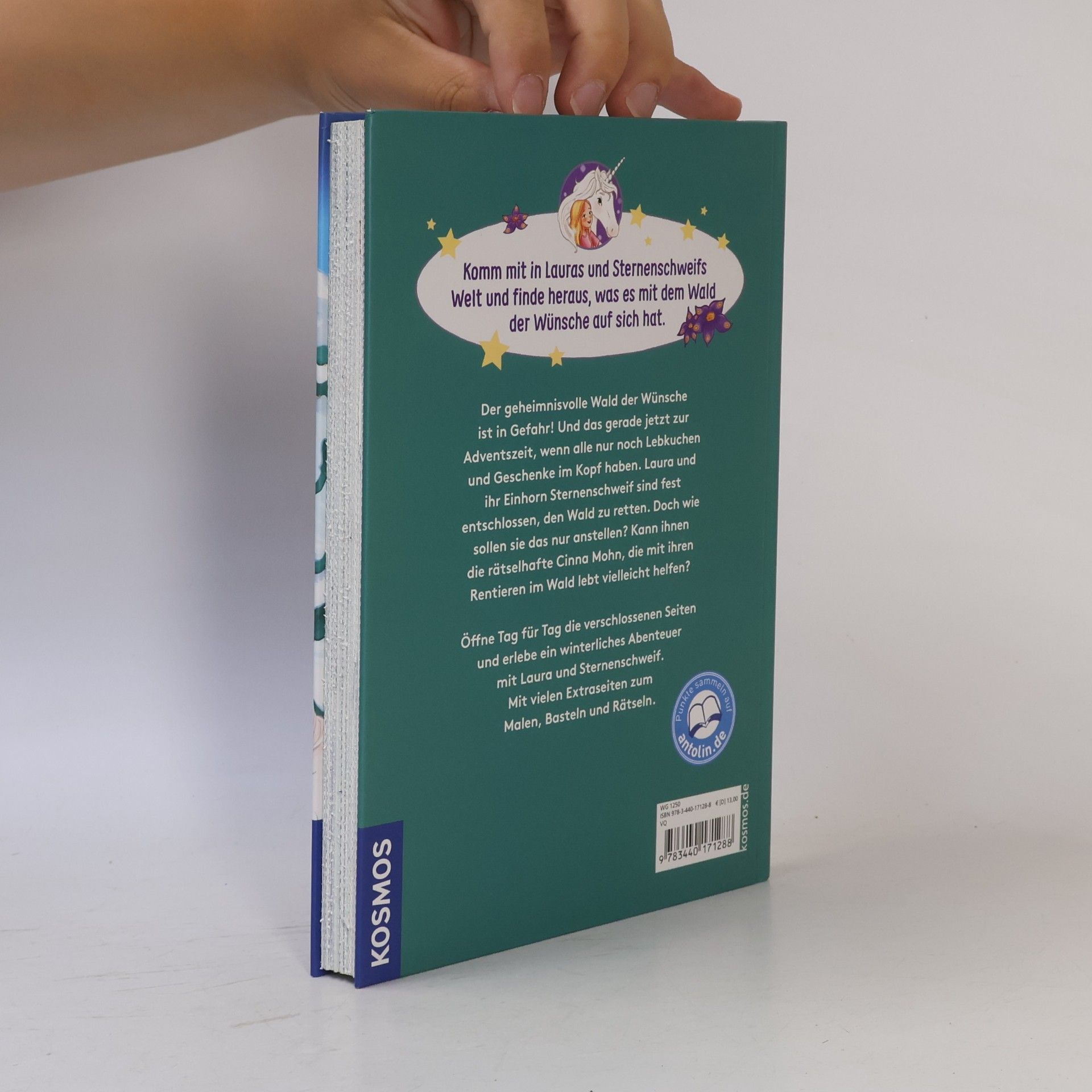 Linda Champan Sternenschweif Adventskalender. Im Zauberwald