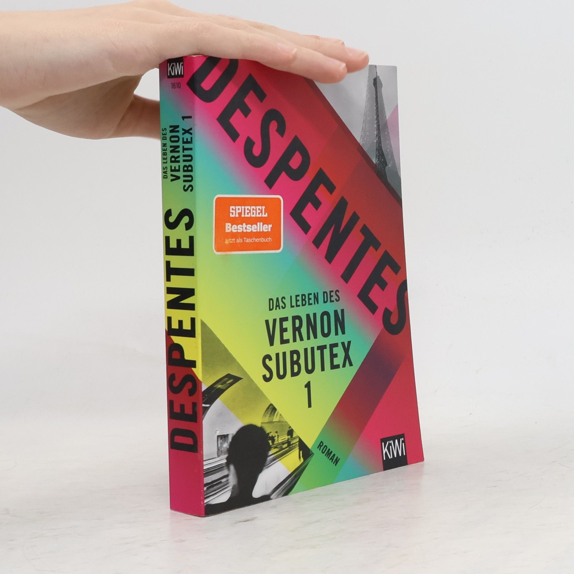 Virginie Despentes Das Leben des Vernon Subutex 1