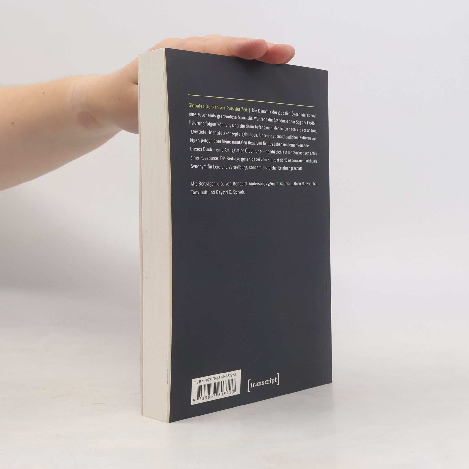 Isolde Charim Kultur und Soziale Praxis: Lebensmodell Diaspora