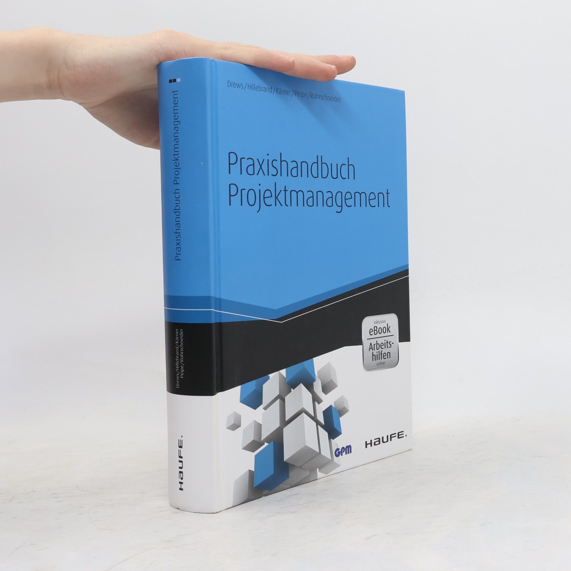 Günter Drews Praxishandbuch Projektmanagement