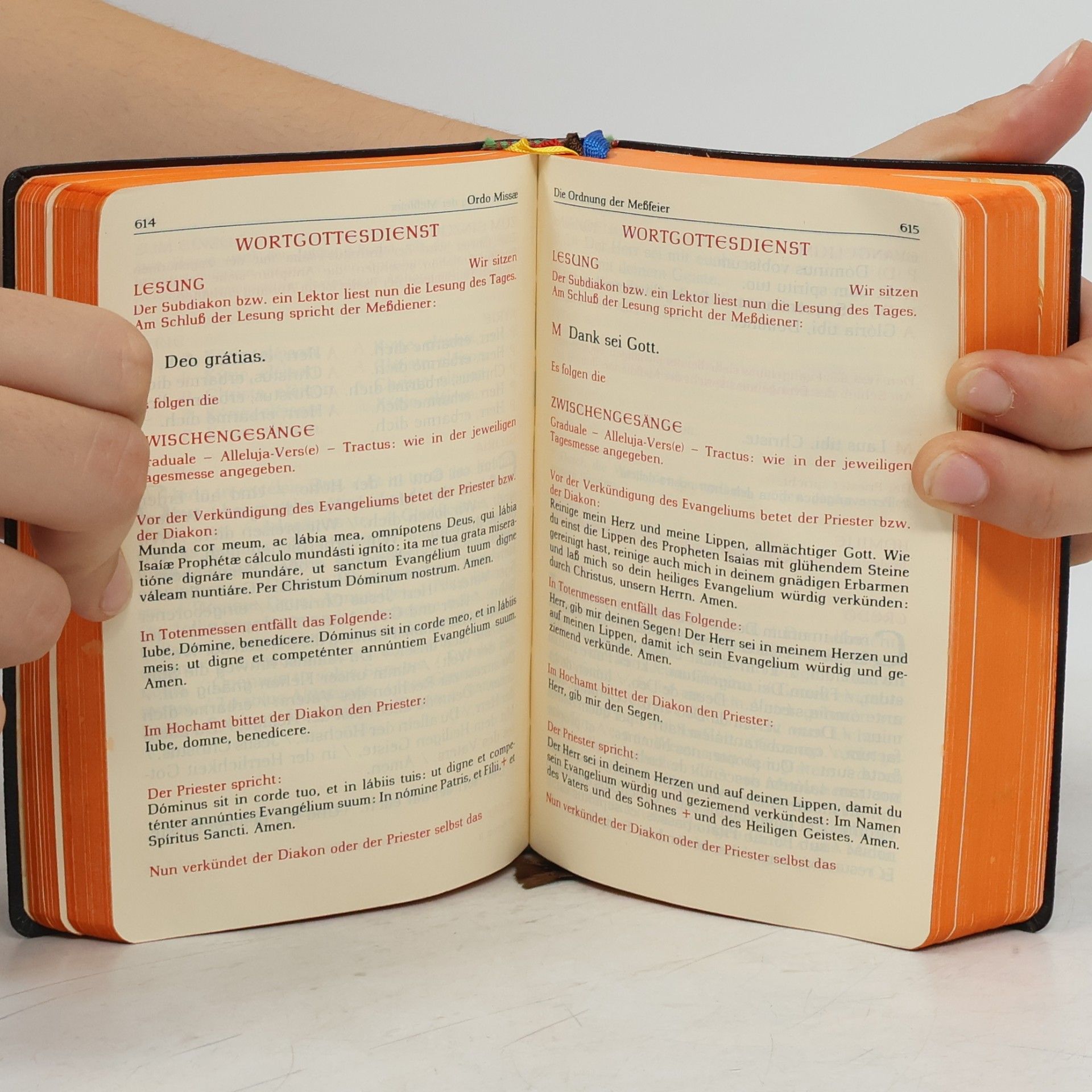 Anselm Schott Das Messbuch der Heiligen Kirche