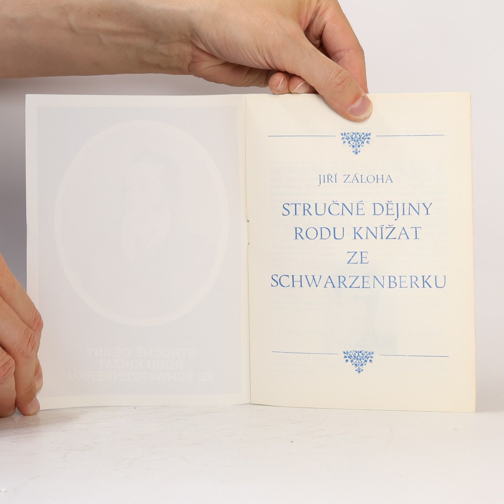 Jiří Záloha Stručné dějiny rodu knížat ze Schwarzenbergu