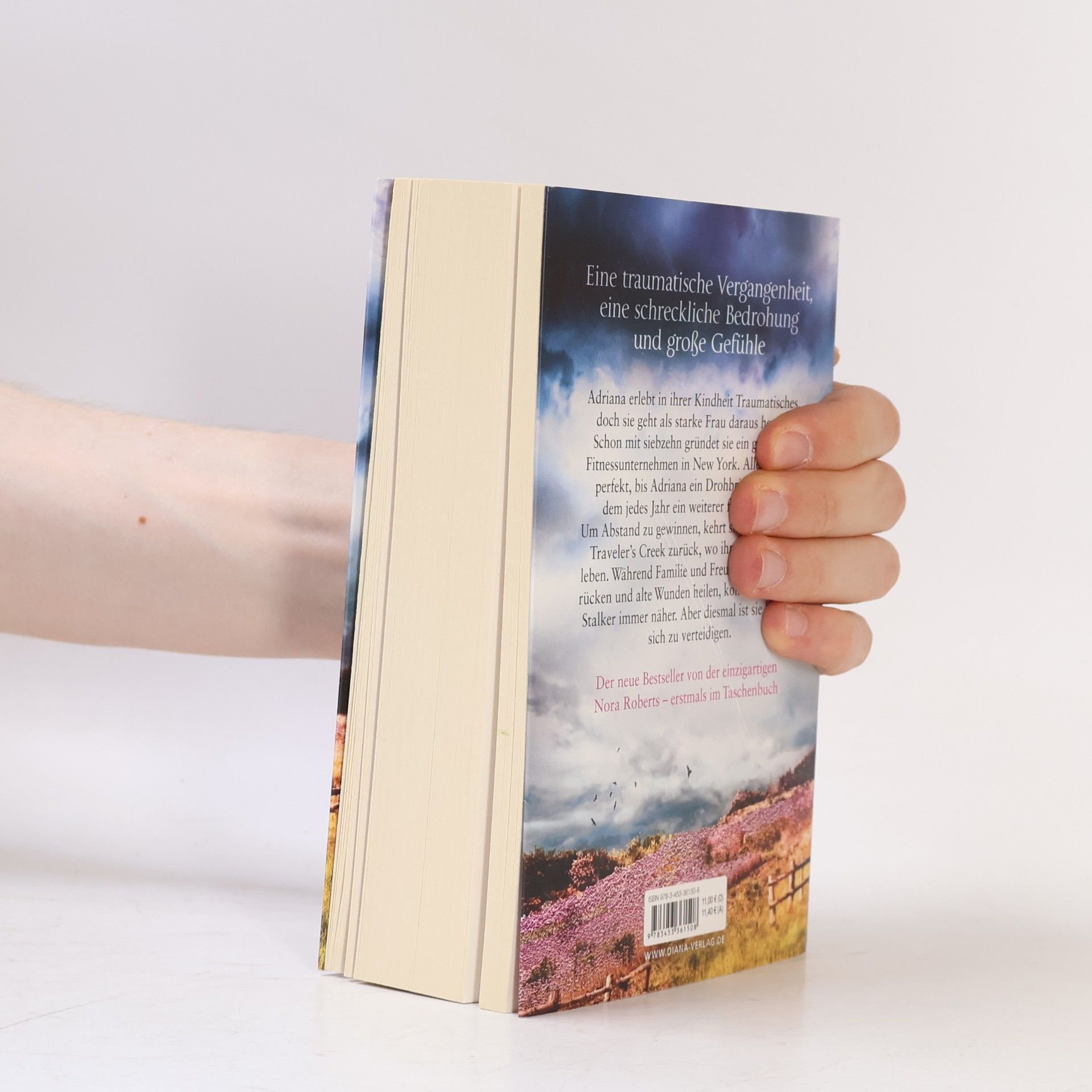 Nora Roberts Vermächtnis der Dunkelheit