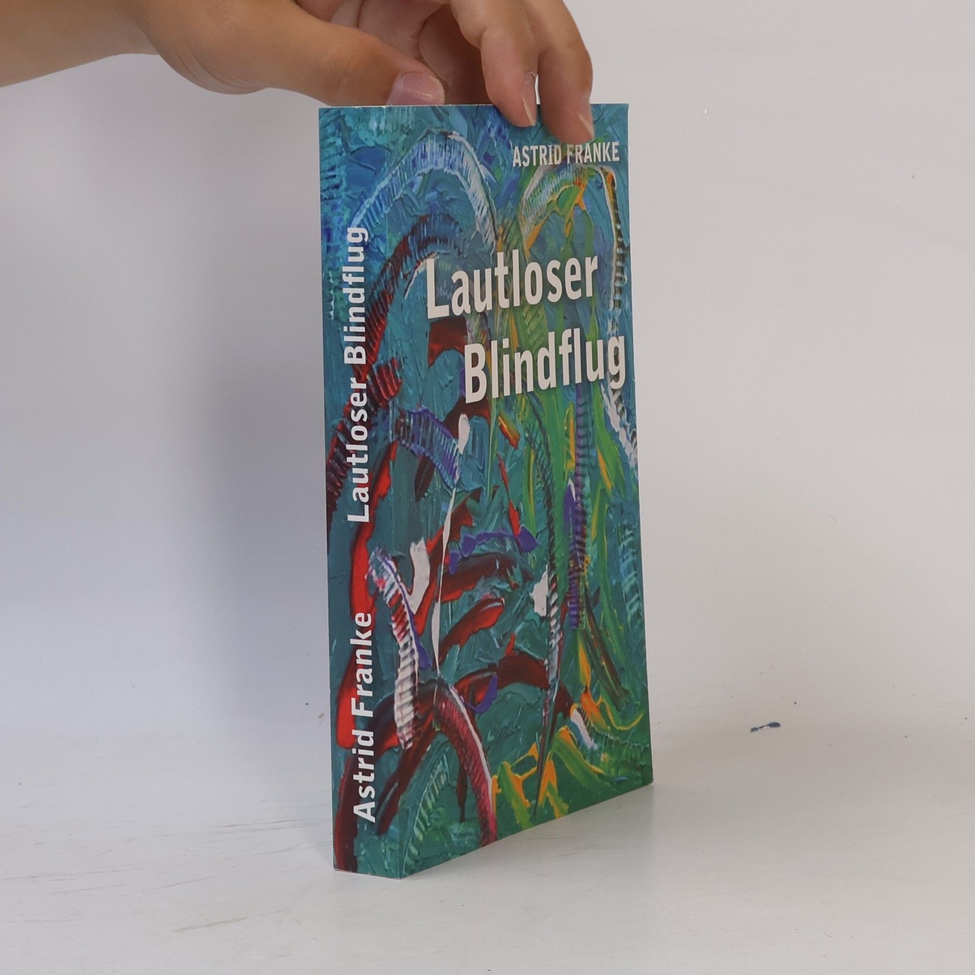 Astrid Franke Lautloser Blindflug. SoKo Deluxe