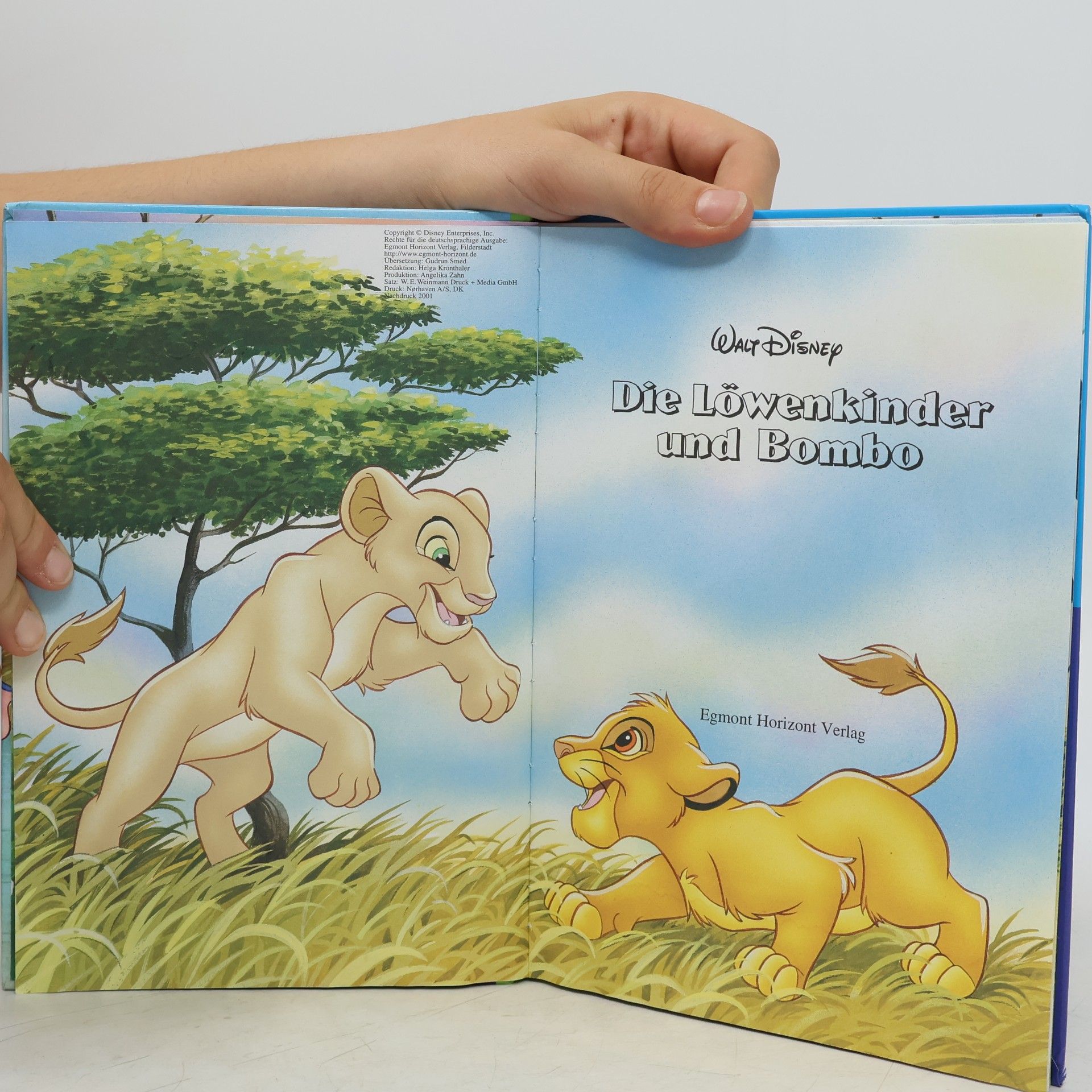 Walt Disney Die Löwenkinder und Bombo