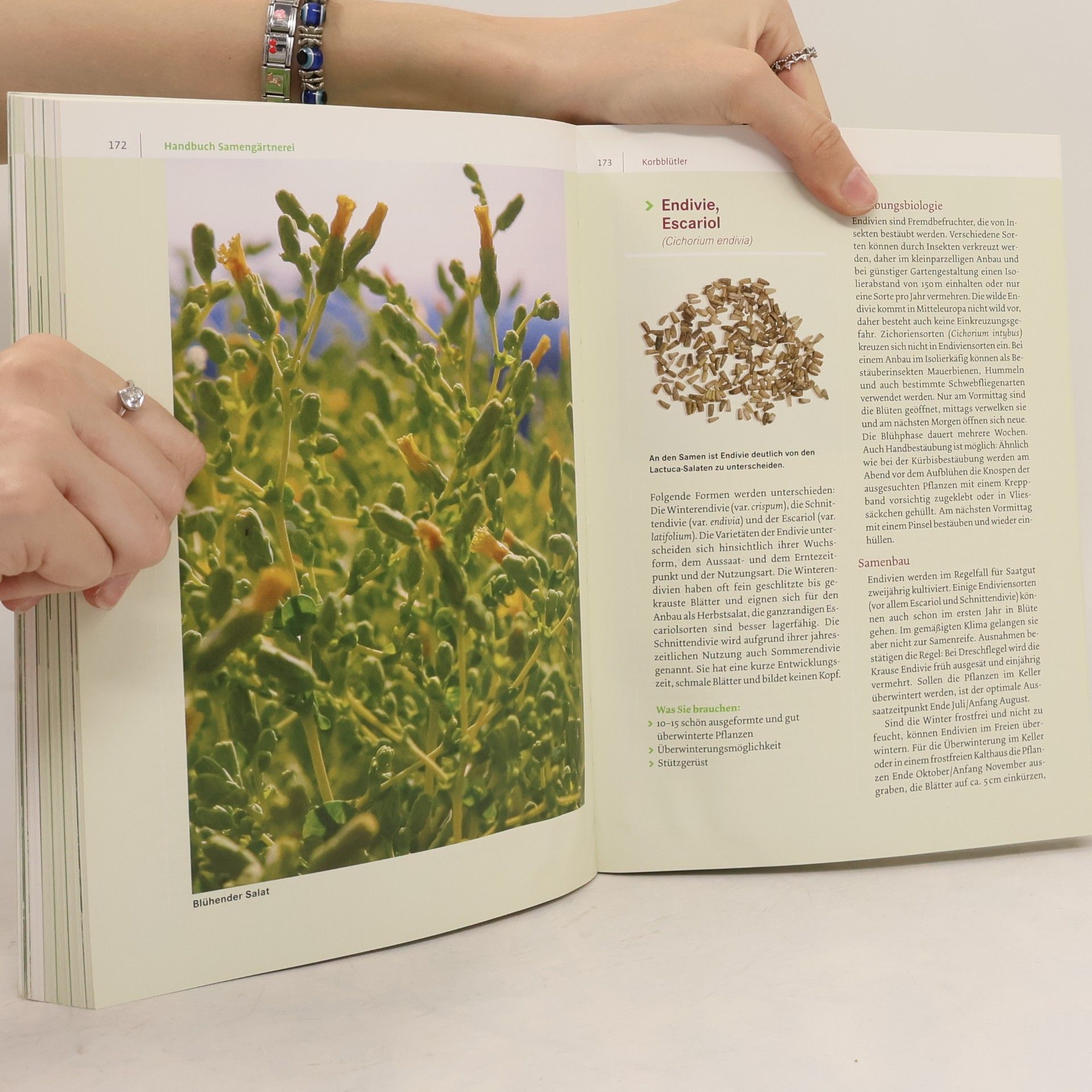 Andrea Heistinger Handbuch Samengärtnerei