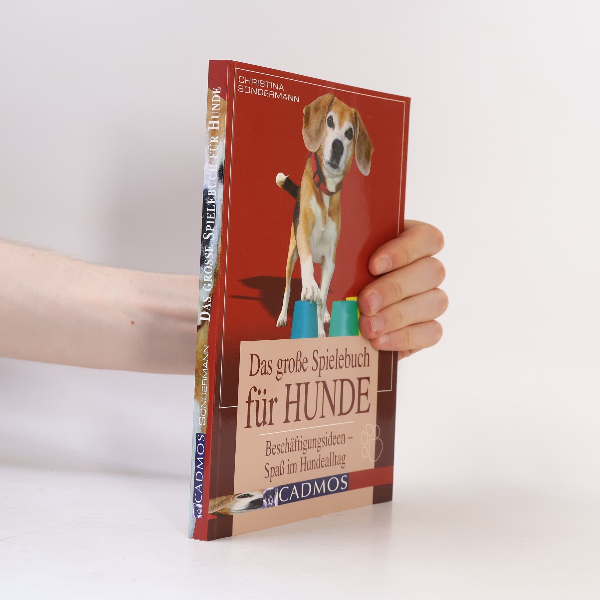 Christina Sondermann Das große Spielebuch für Hunde