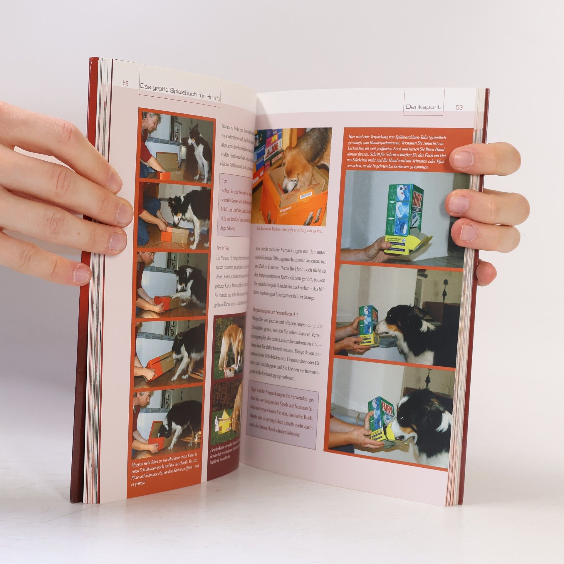 Christina Sondermann Das große Spielebuch für Hunde