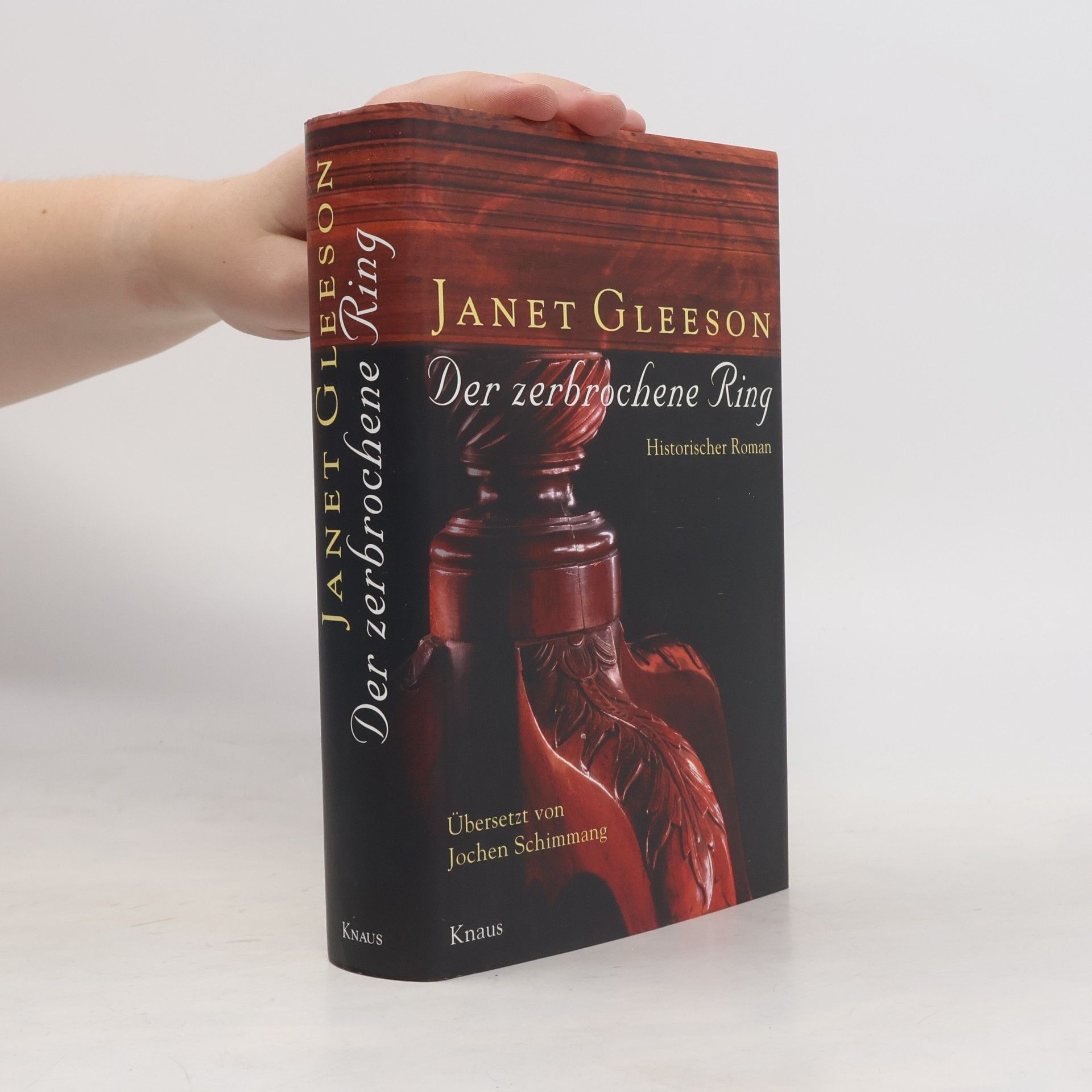 Janet Gleeson Der zerbrochene Ring