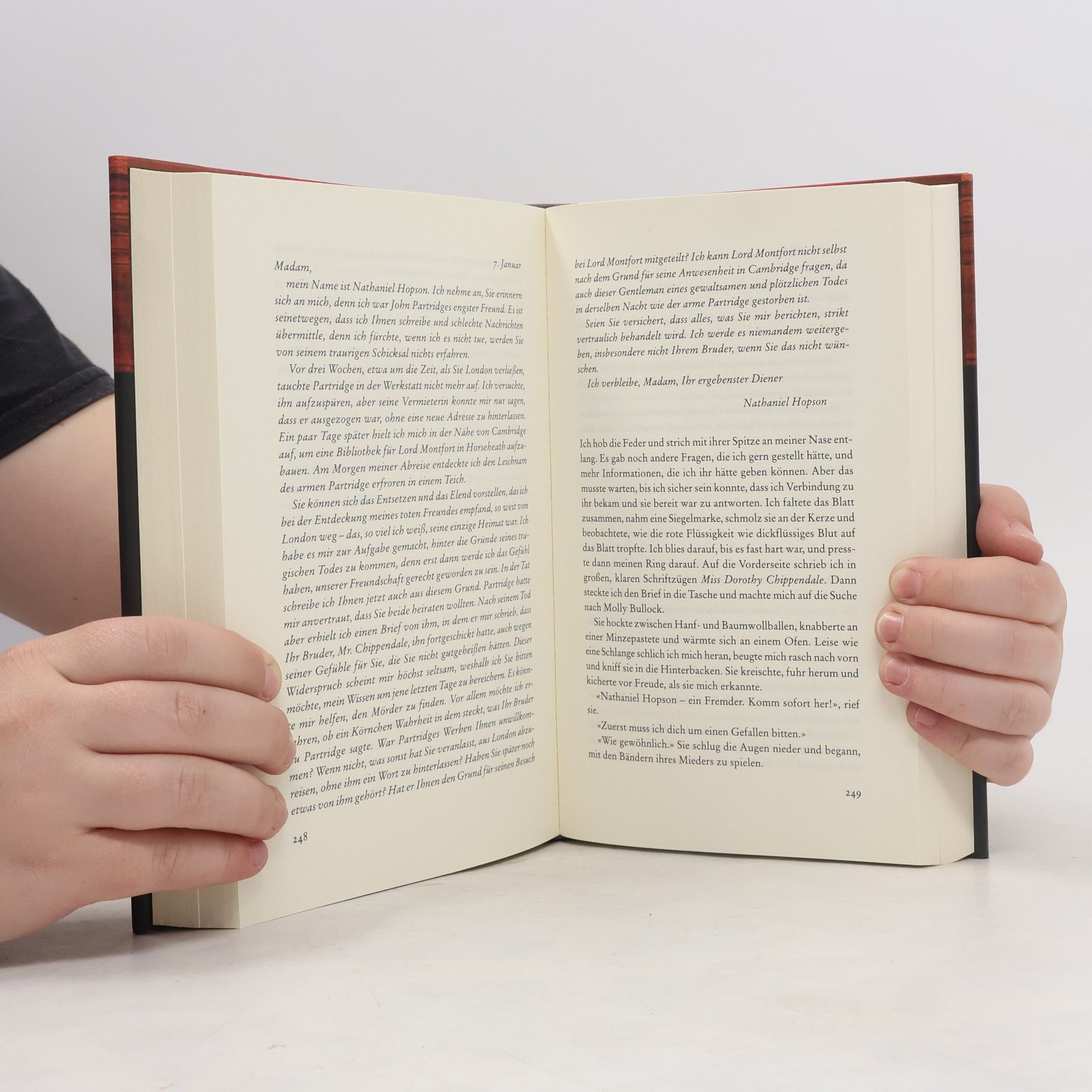 Janet Gleeson Der zerbrochene Ring