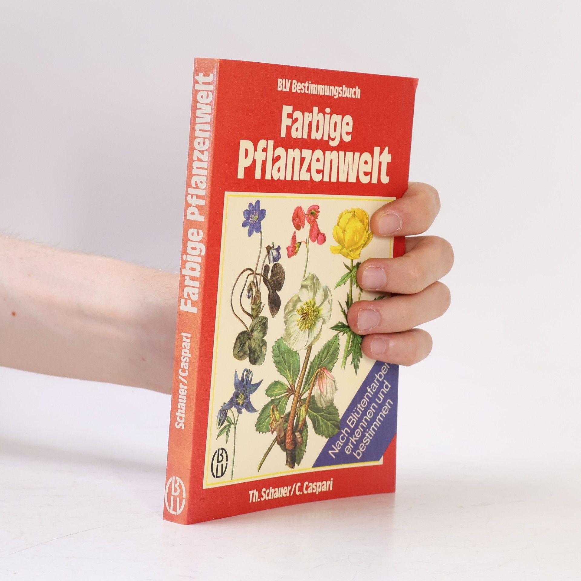 Thomas Schauer Farbige Pflanzenwelt
