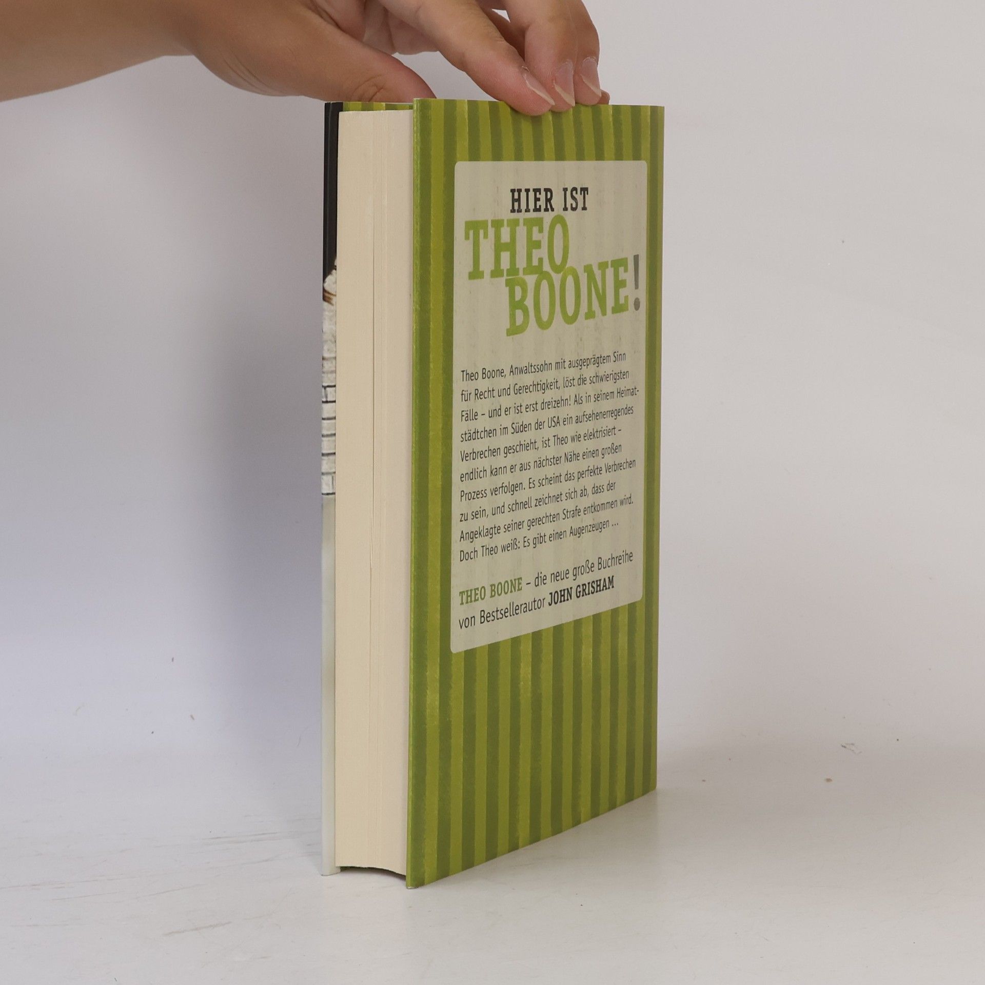John Grisham Theo Boone und der unsichtbare Zeuge