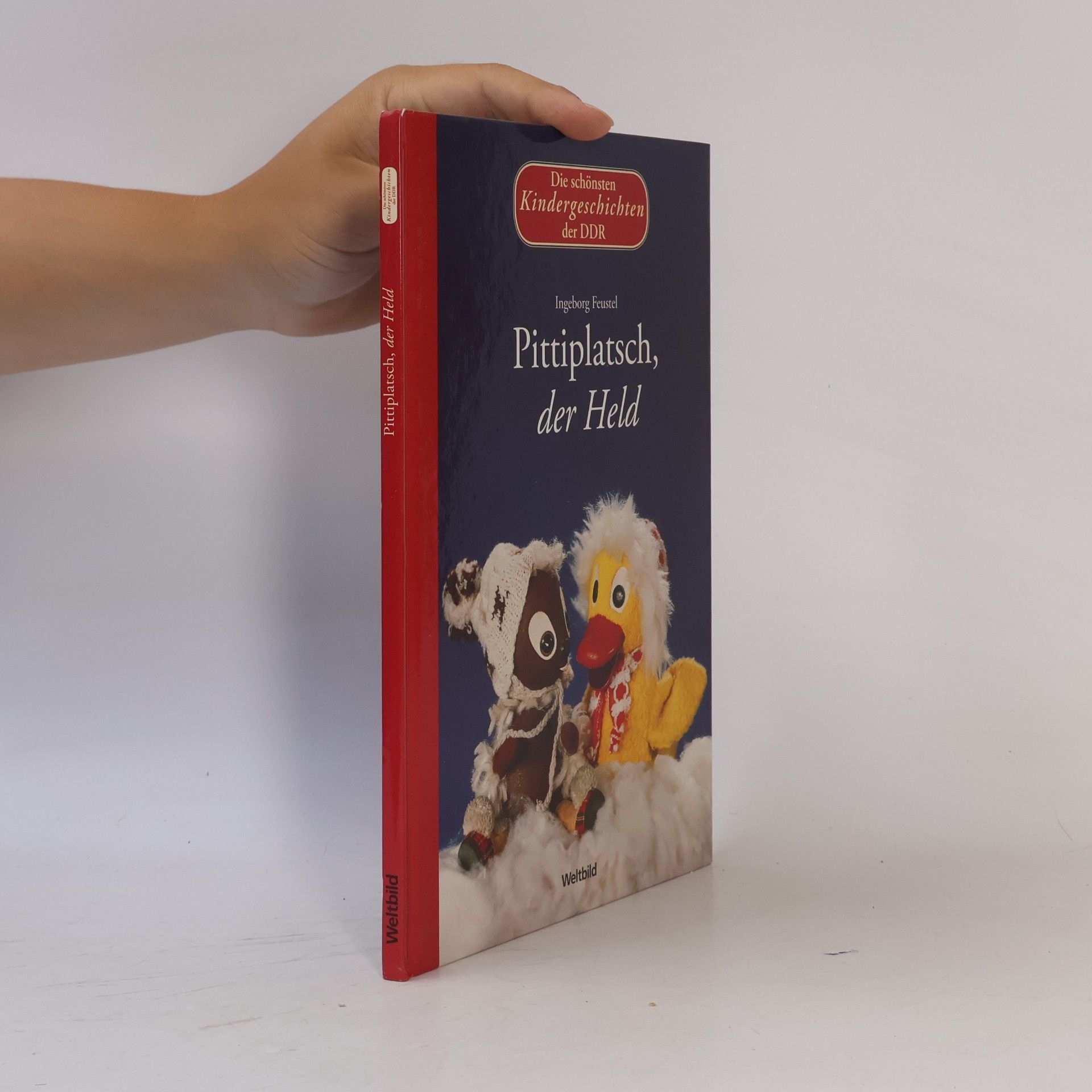 Autorenkollektiv Pittiplatsch, der Held