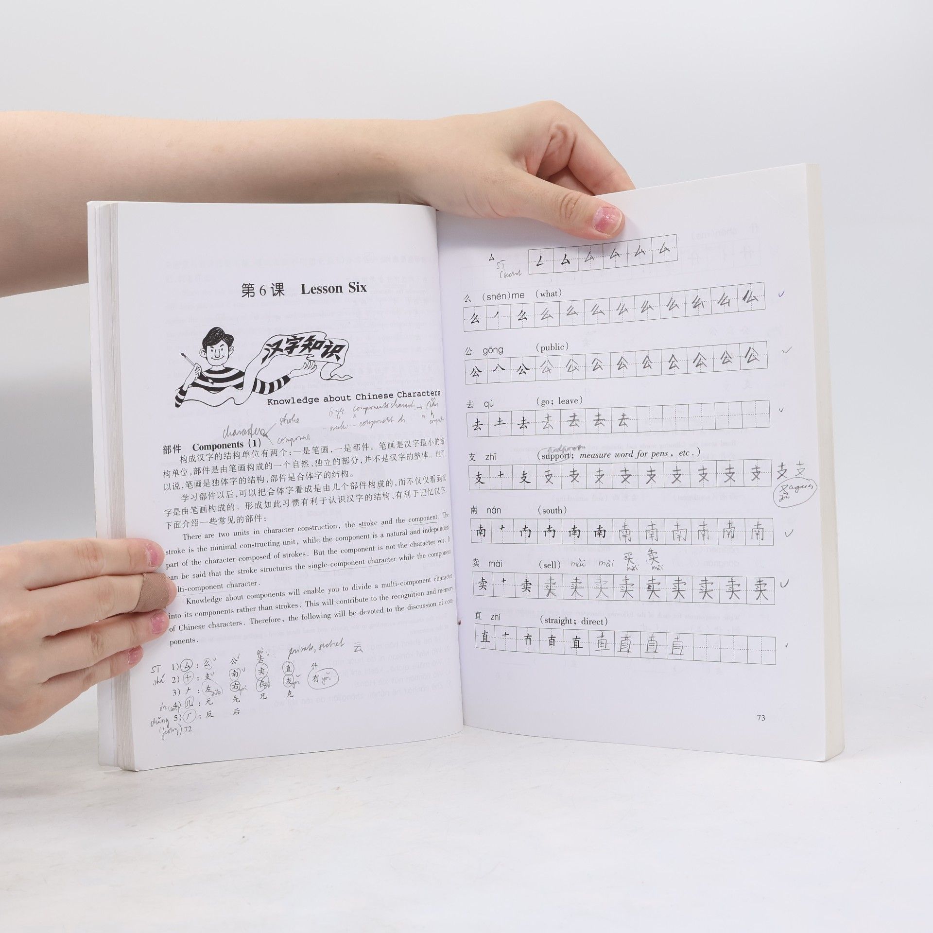 Liu Yanmei Easy Way to Learn Chinese Characters