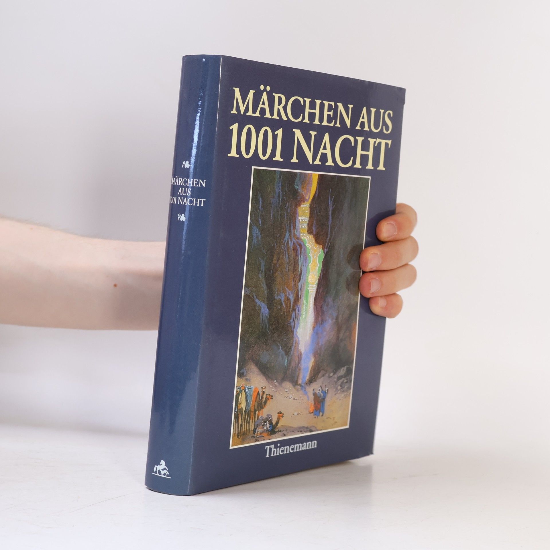 Karl Mühlmeister Märchen aus Tausendundeiner Nacht für junge Leser